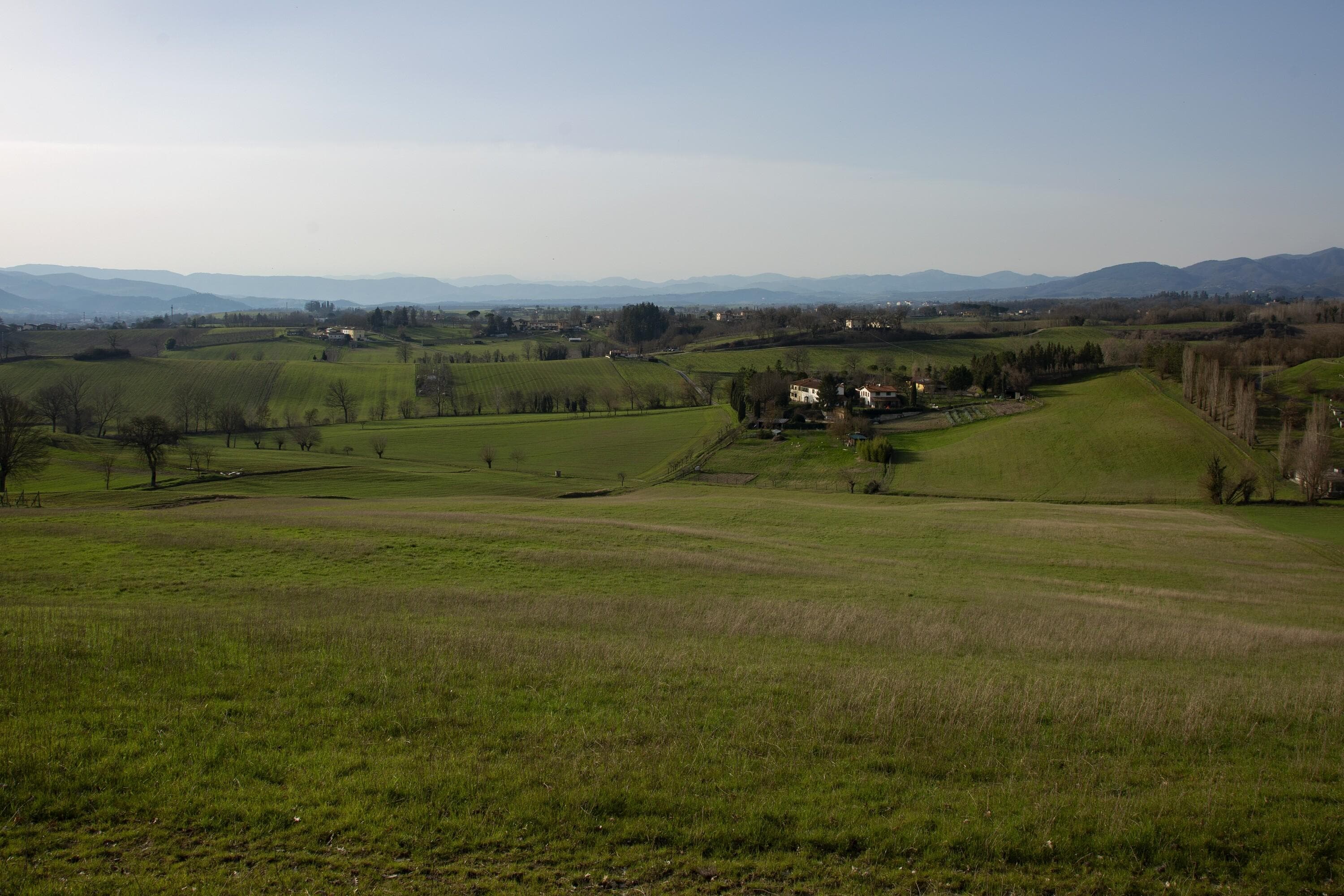 Gallery Image 37