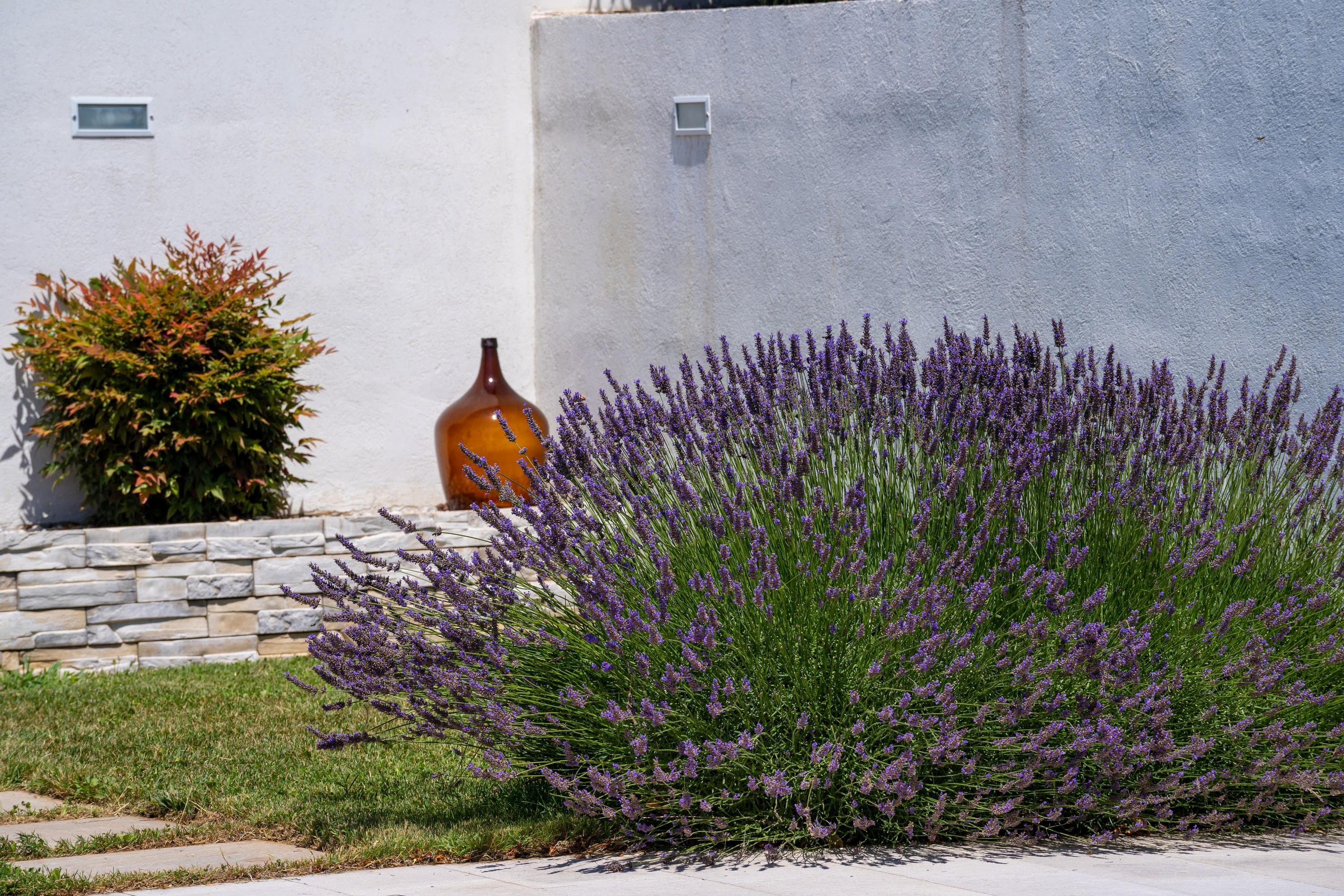 Gallery Image 15