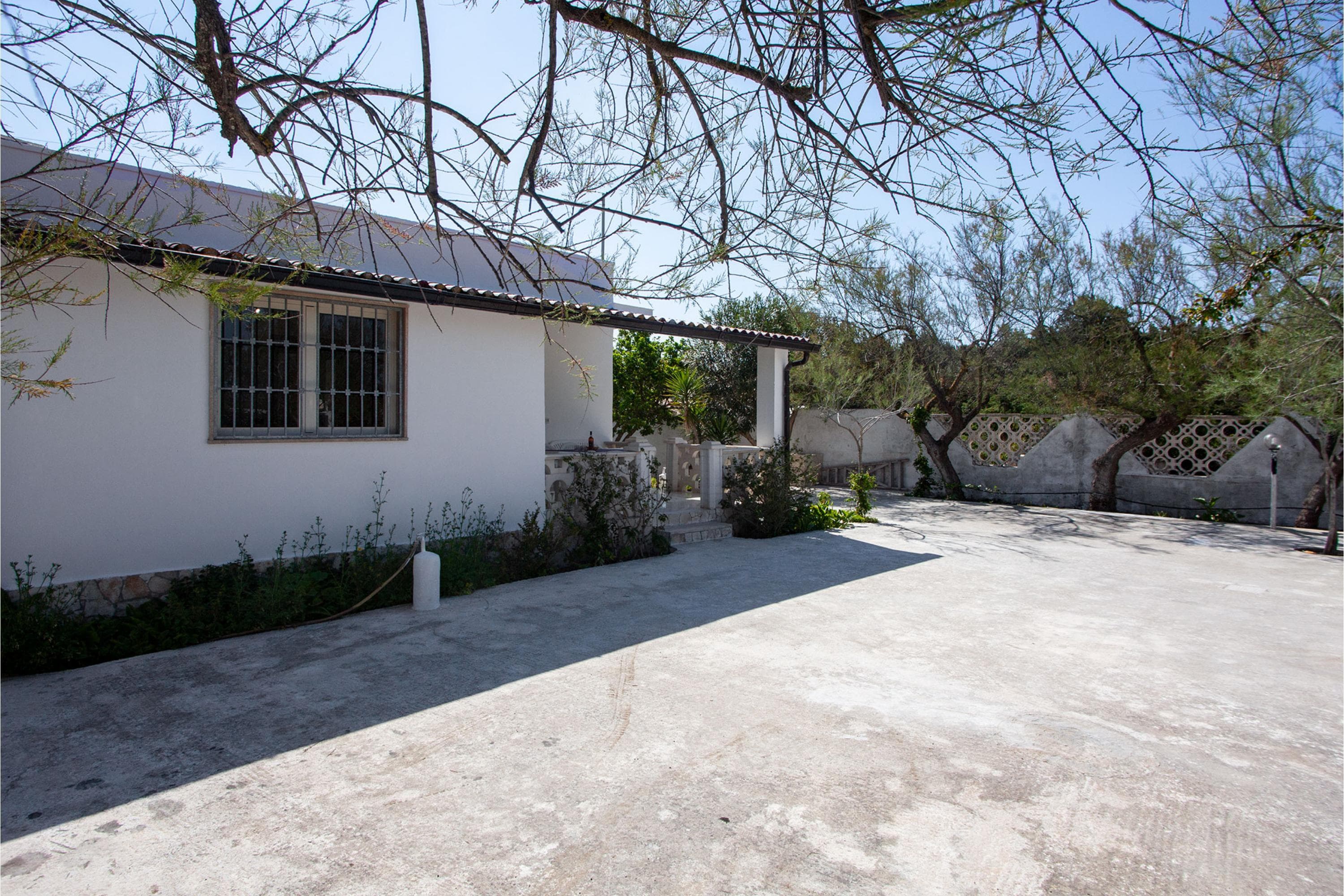 Gallery Image 17