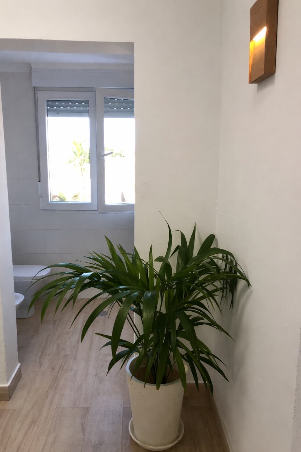 Gallery Image 73