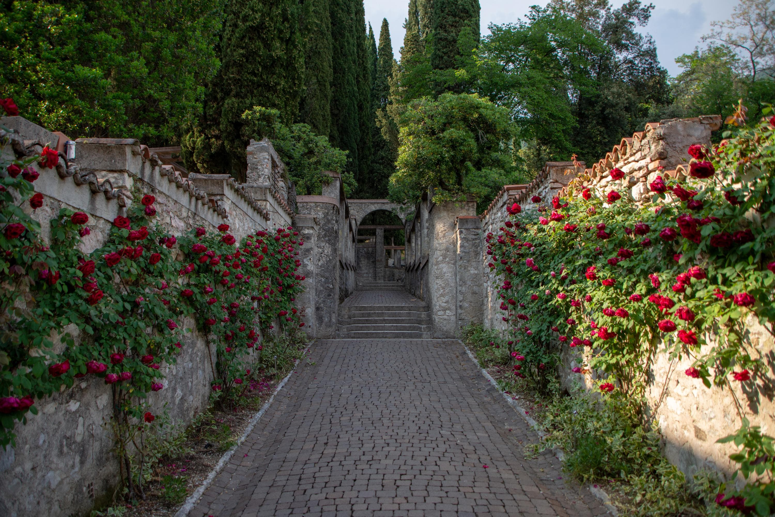Gallery Image 24