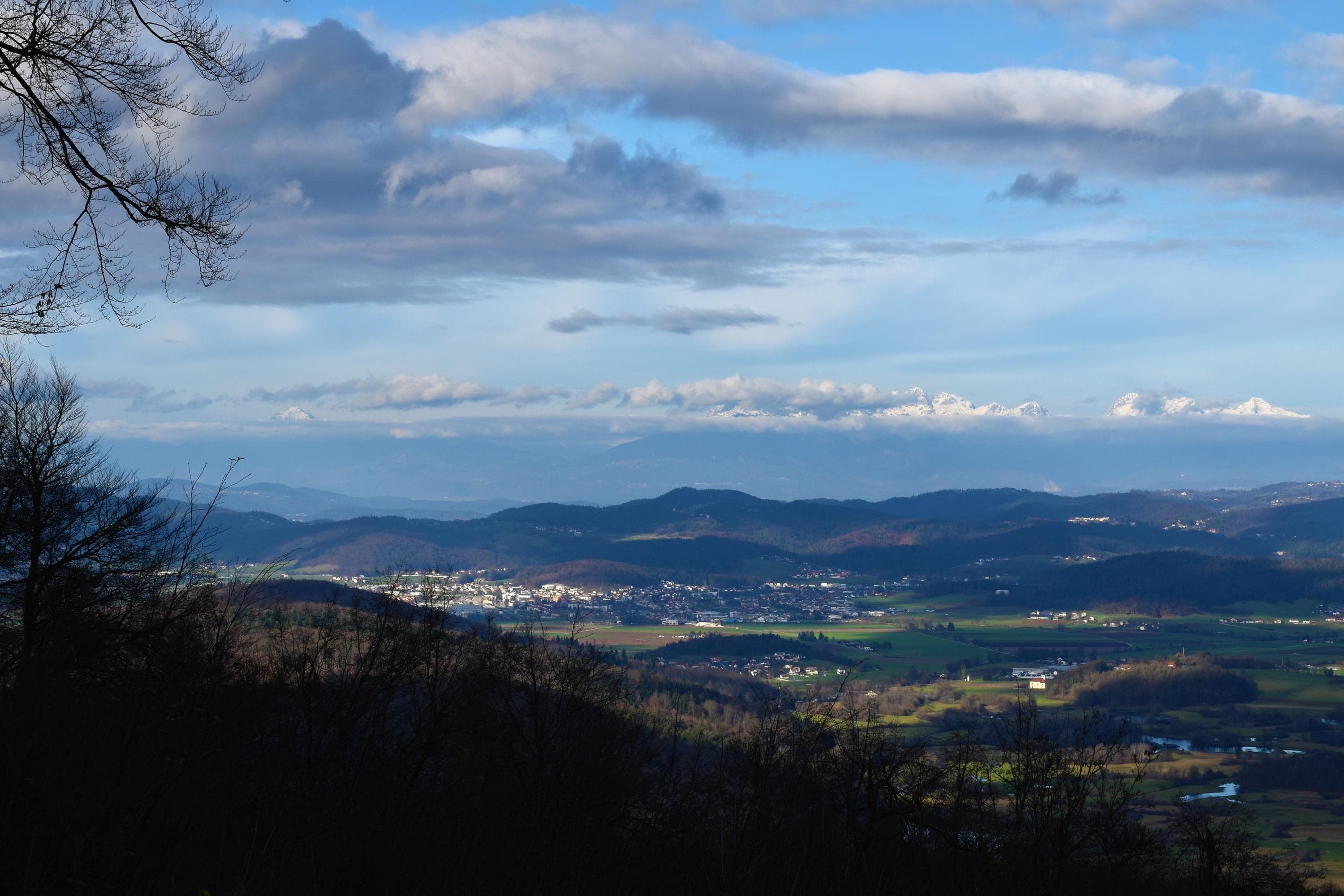 Gallery Image 30