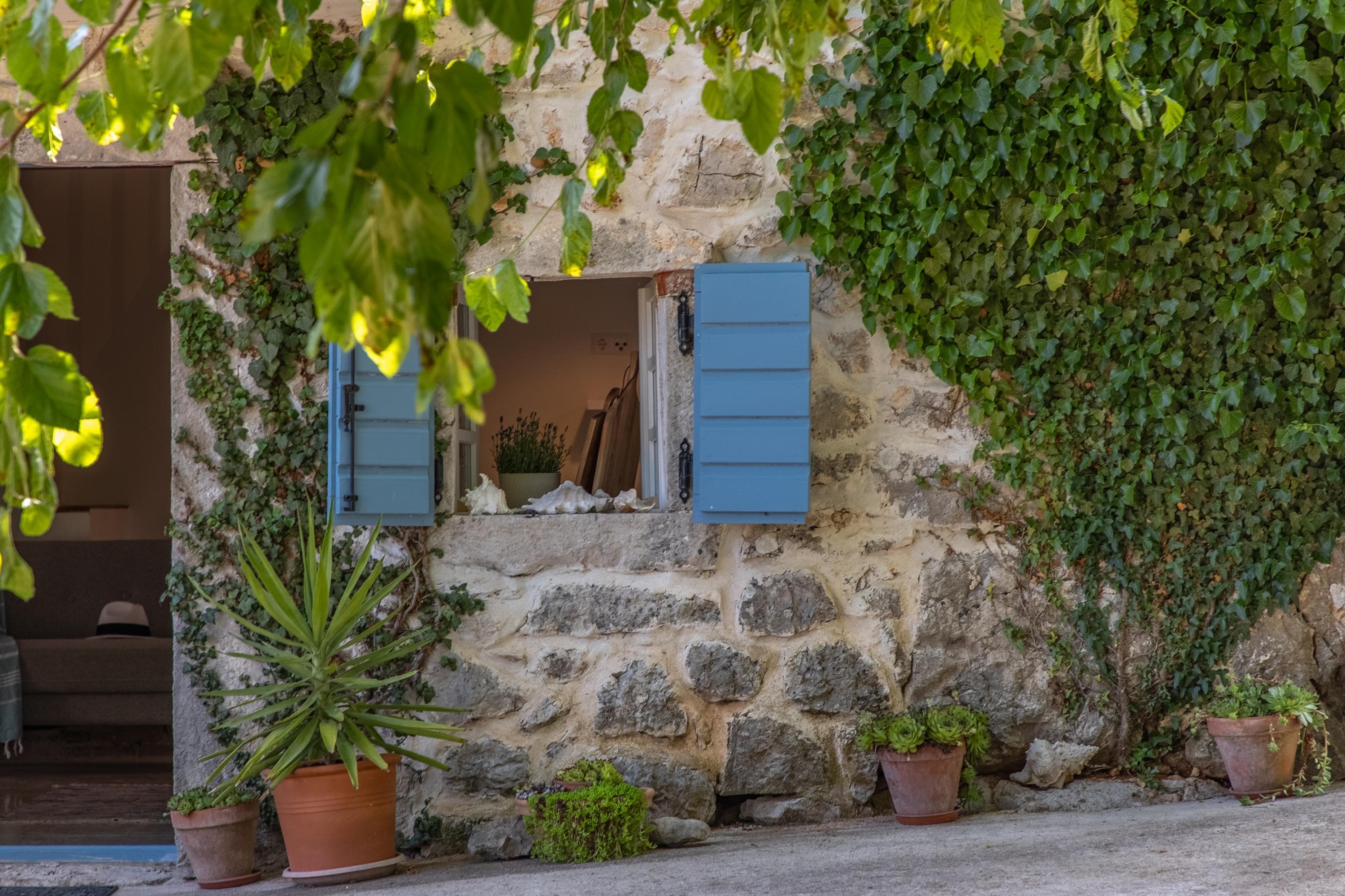 Gallery Image 14