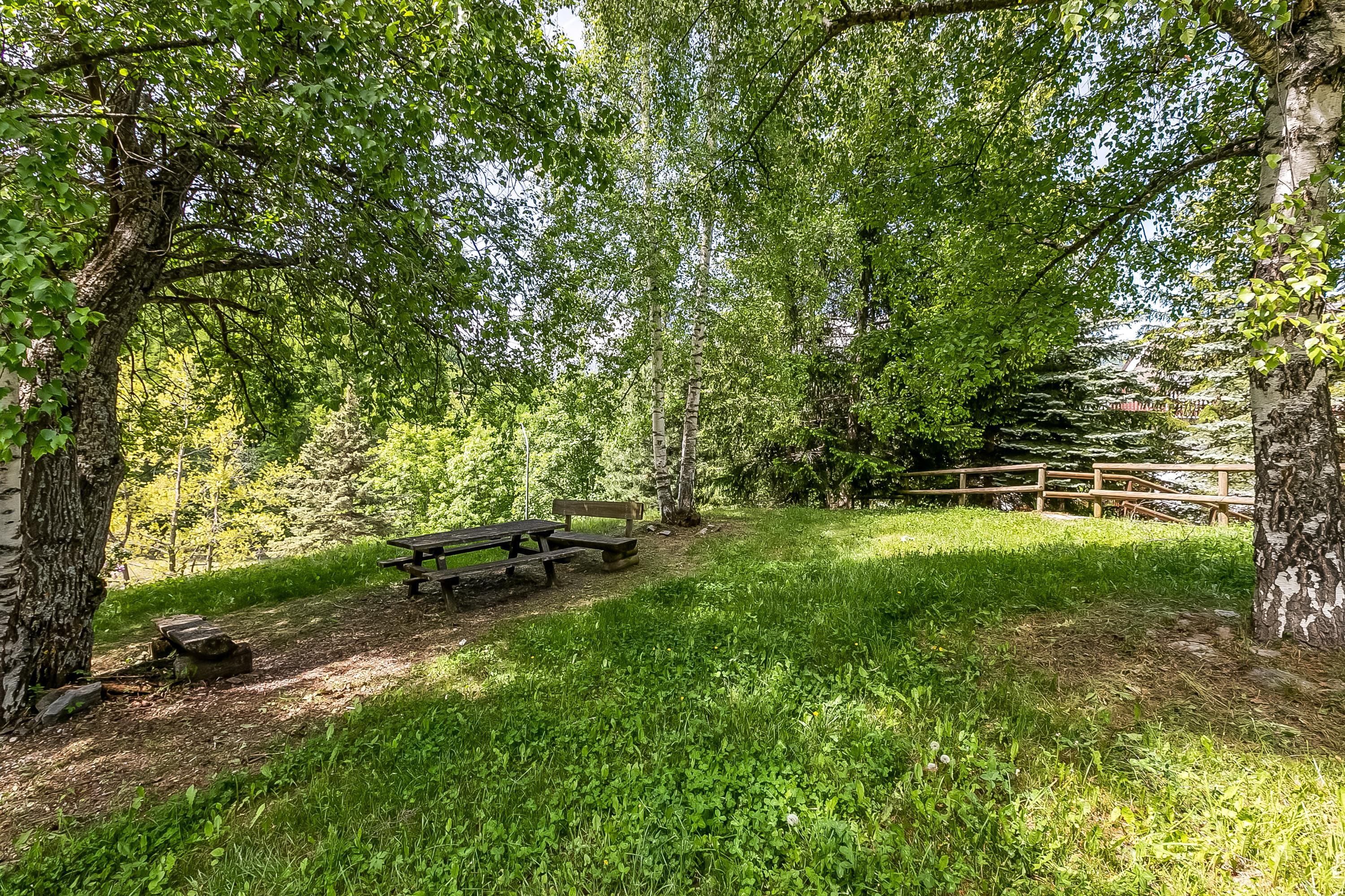 Gallery Image 15