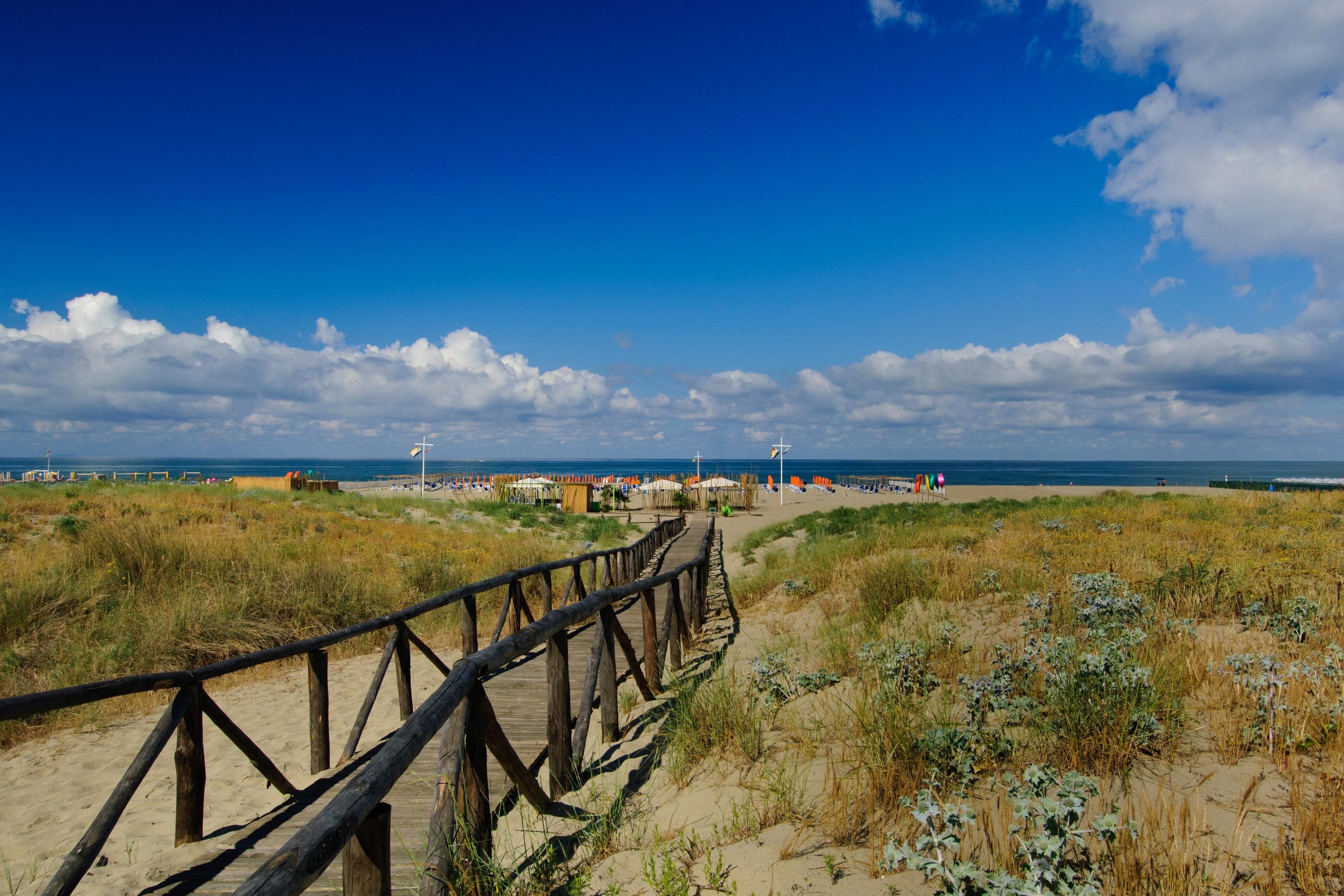 Gallery Image 25