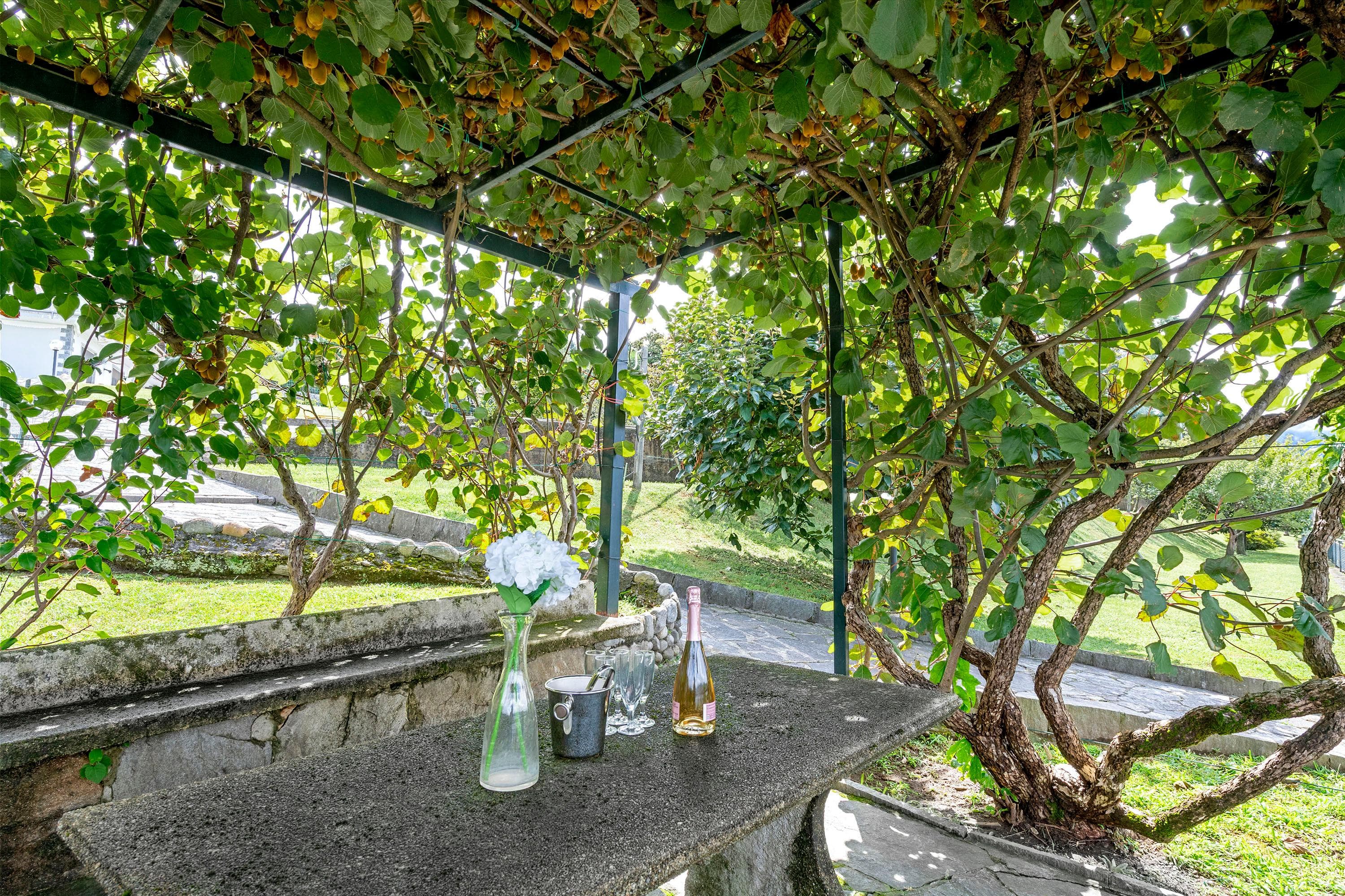 Gallery Image 13