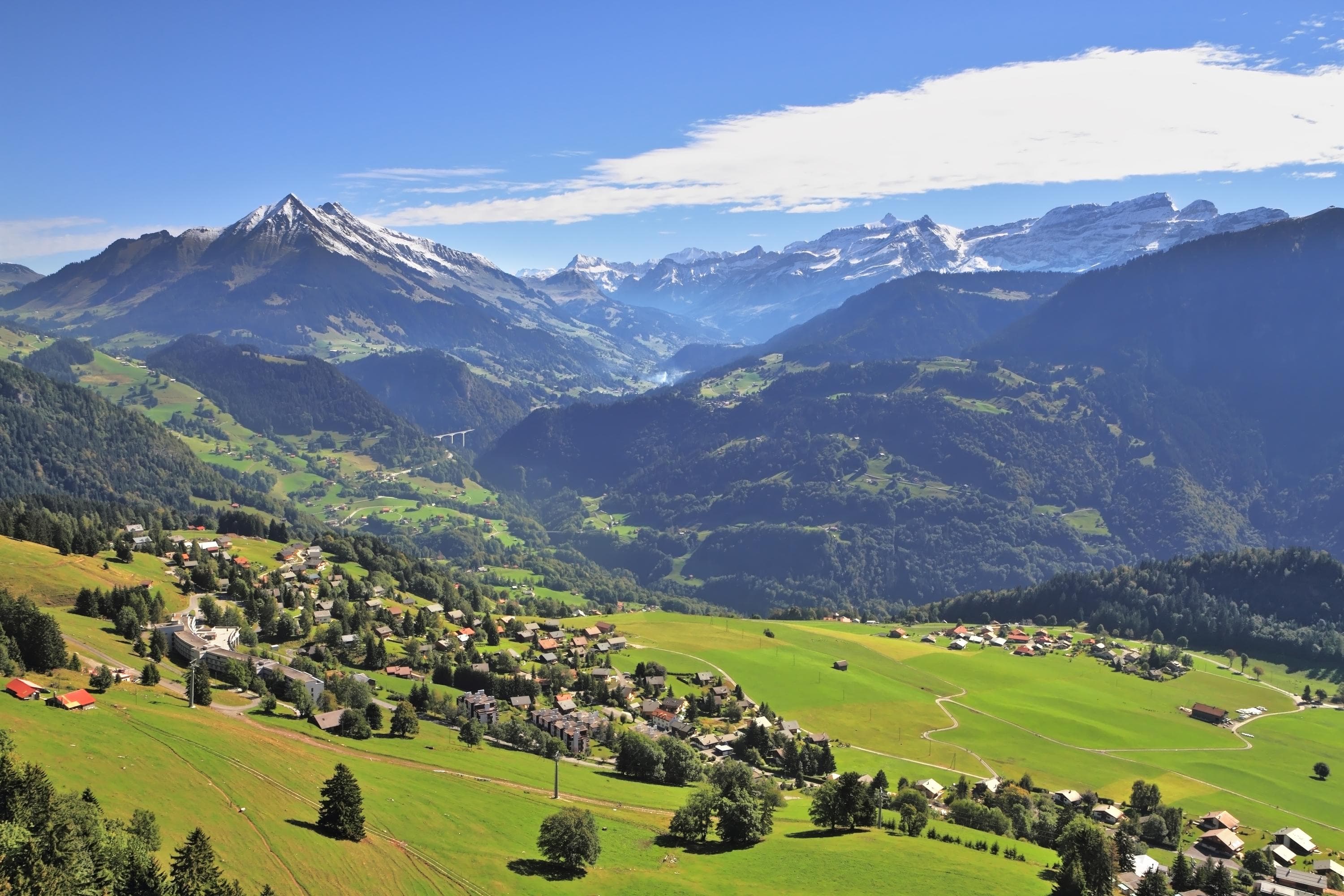 Gallery Image 24