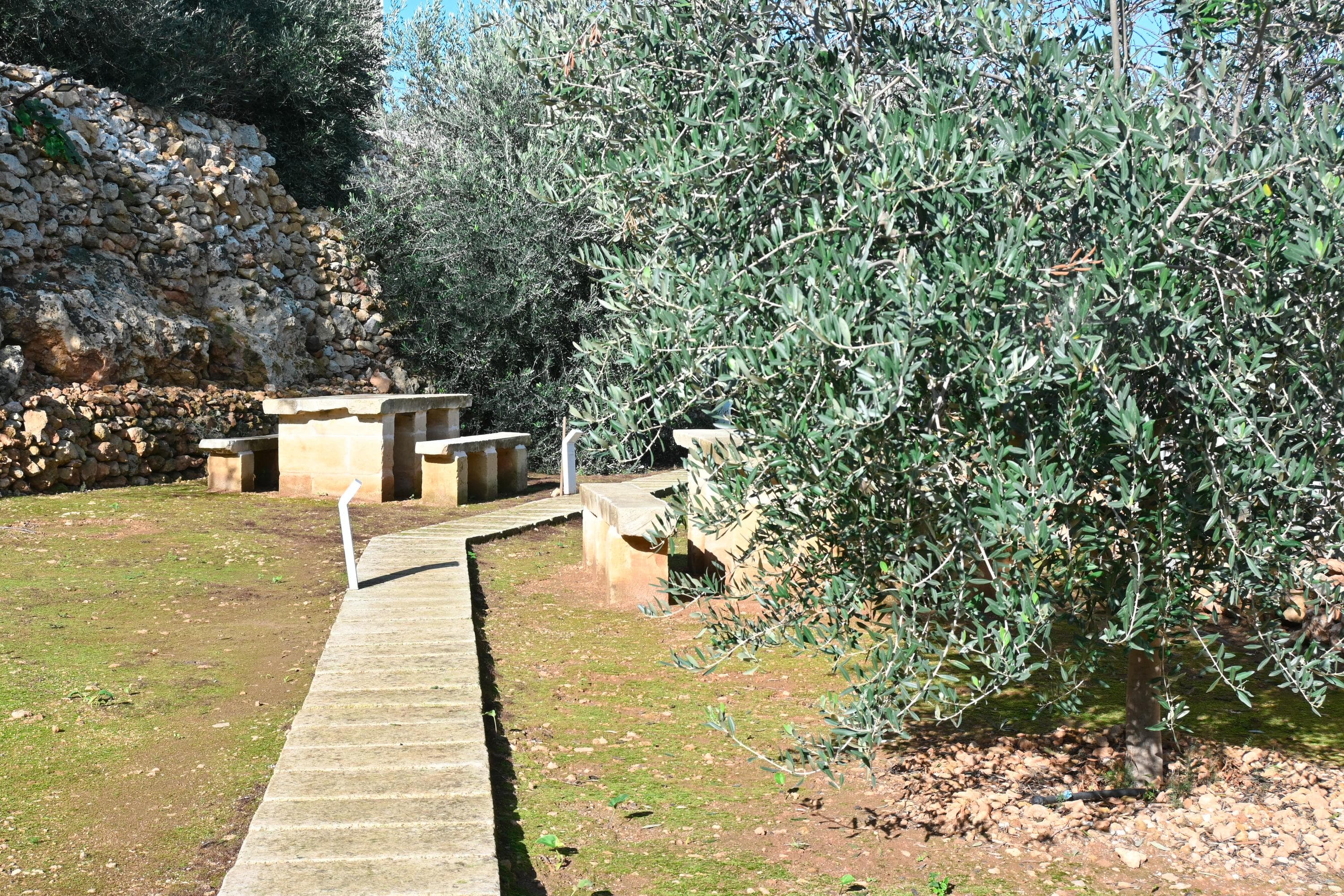Gallery Image 8