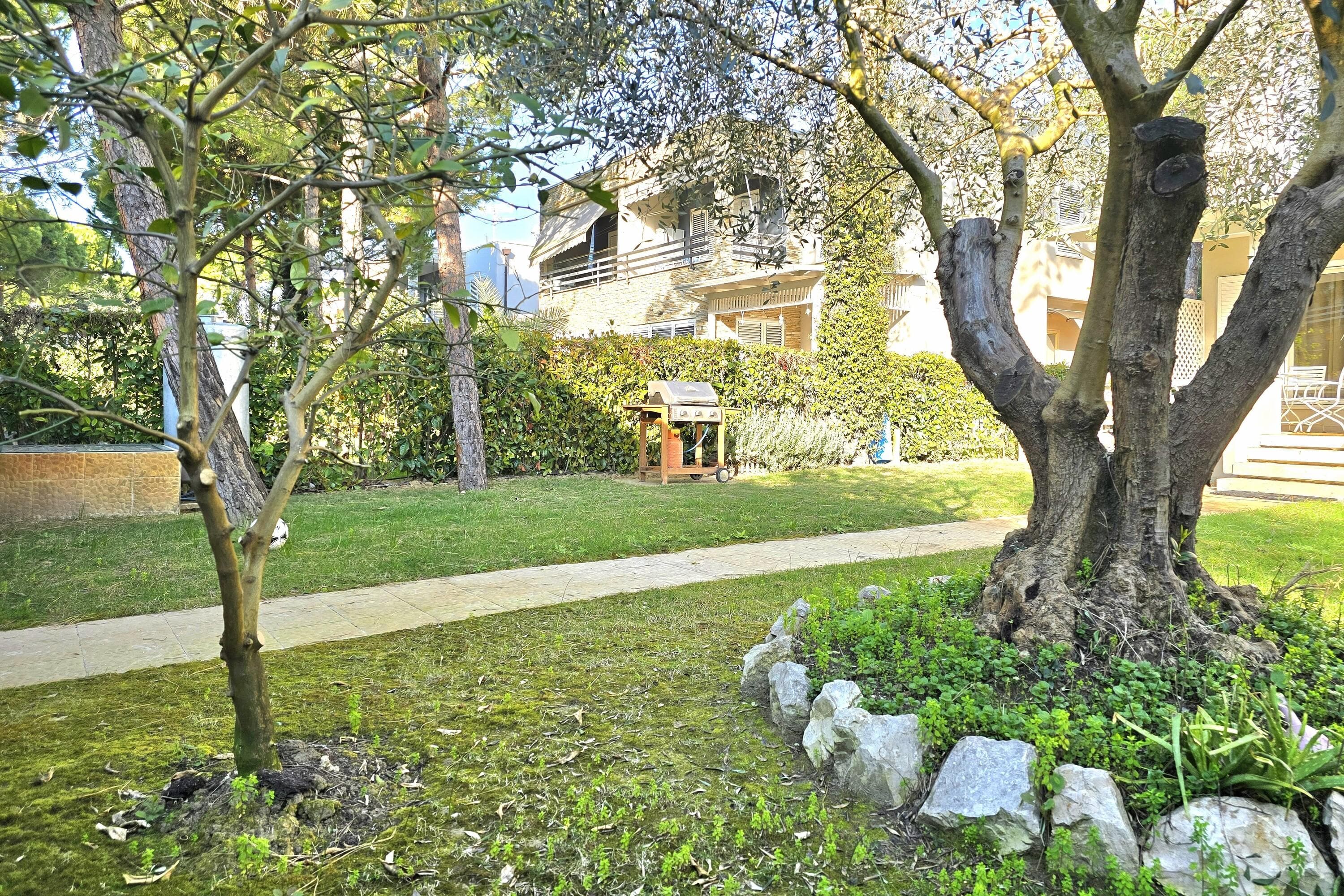 Gallery Image 17