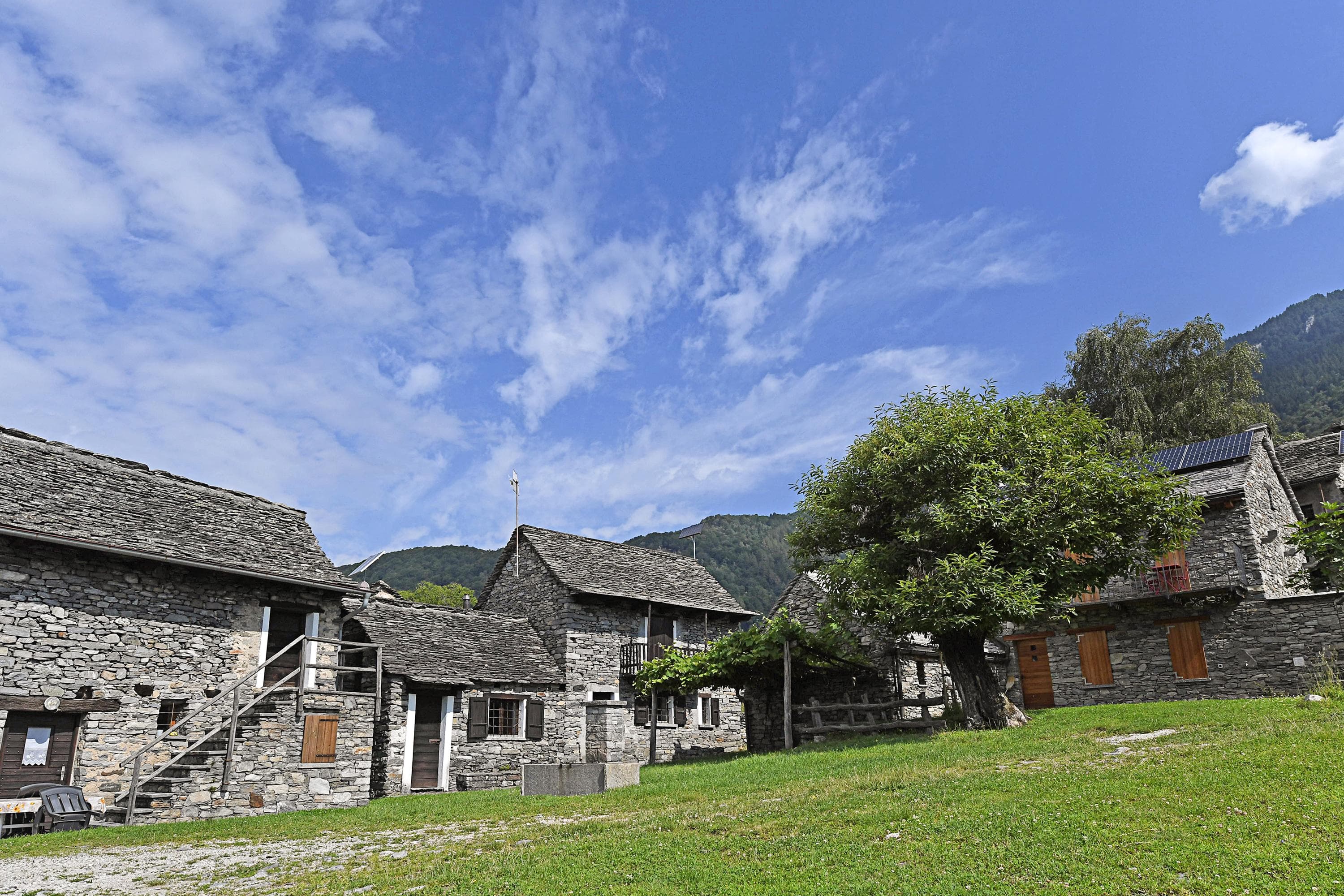 Gallery Image 23