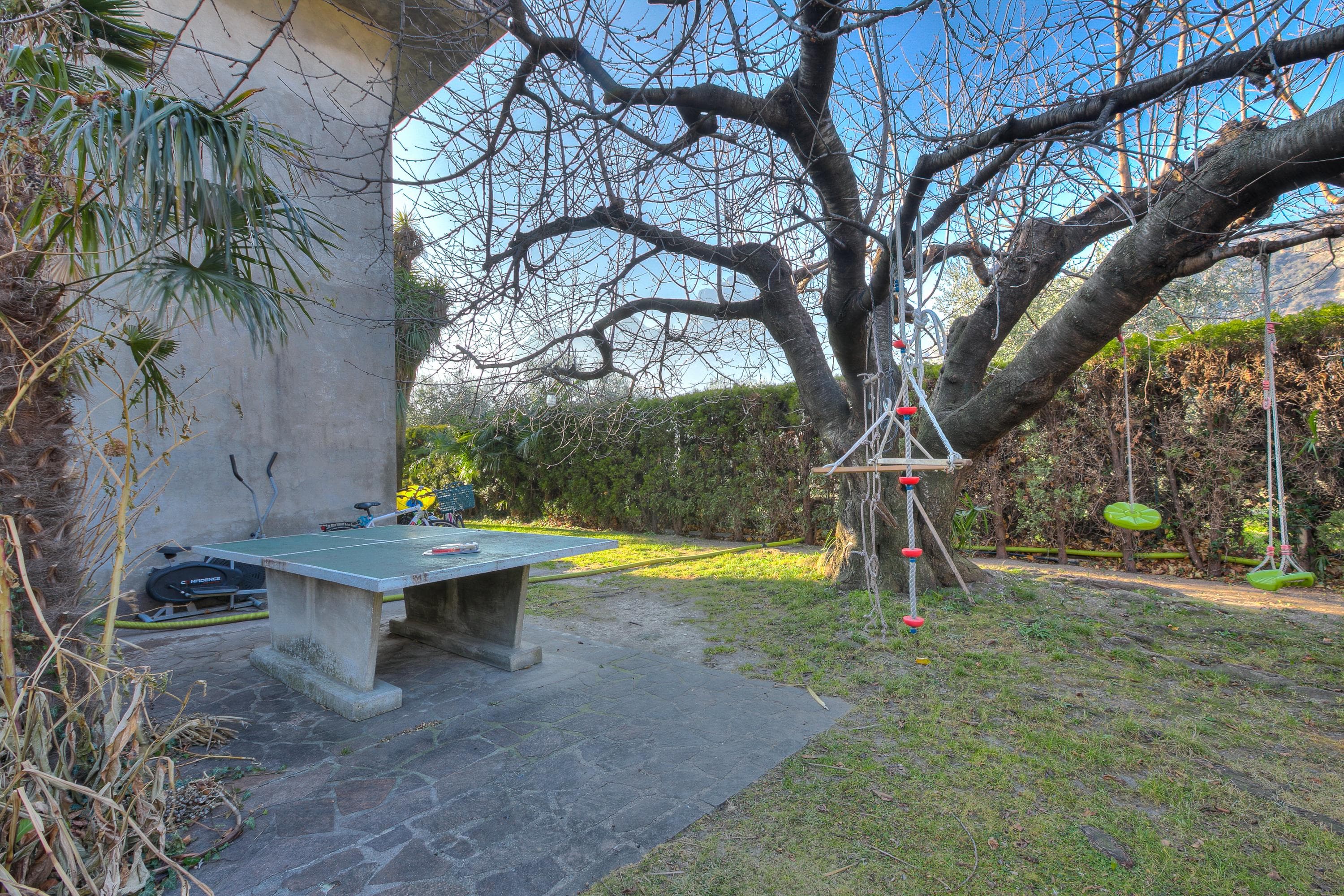 Gallery Image 36
