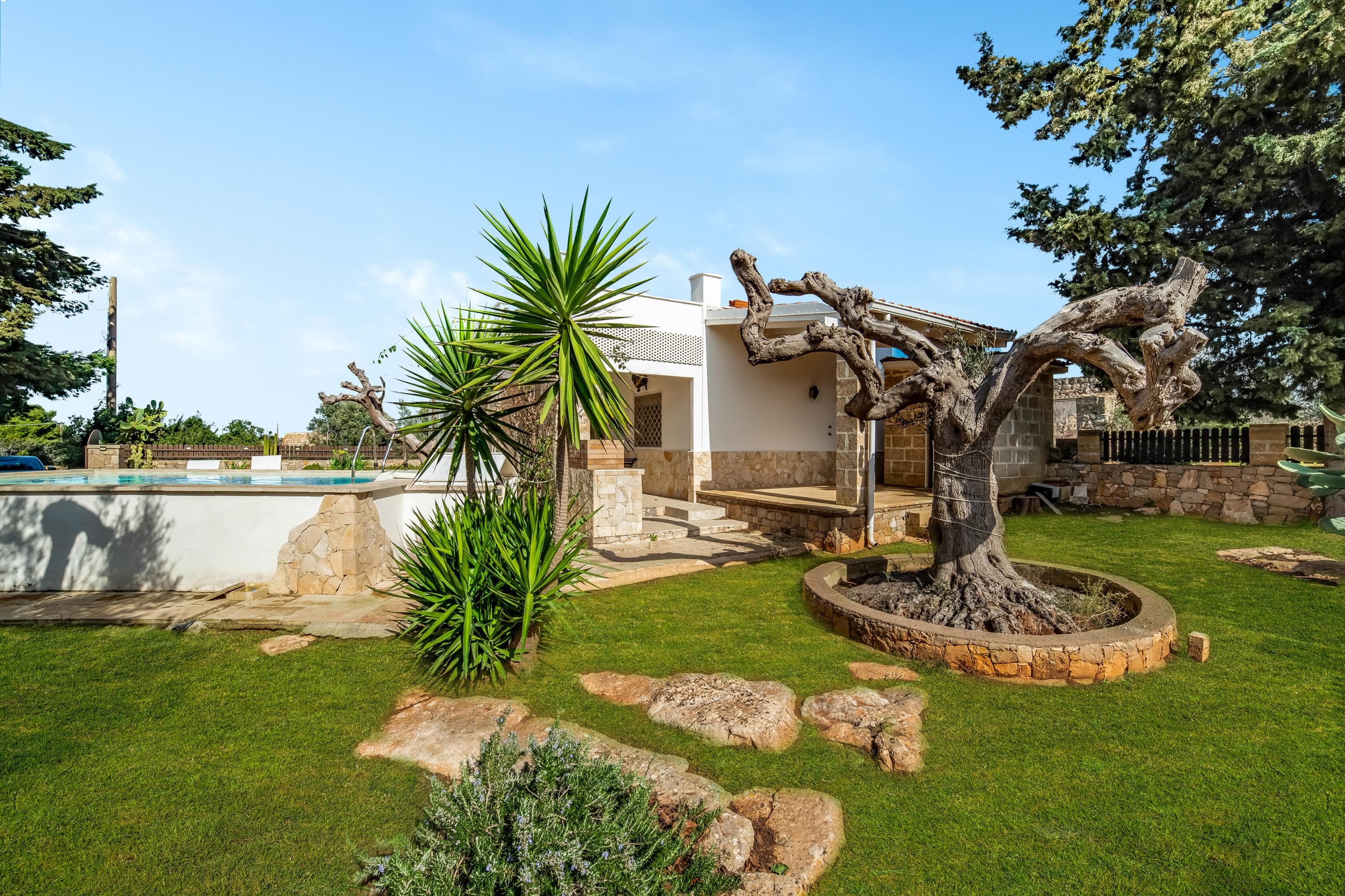 Gallery Image 14