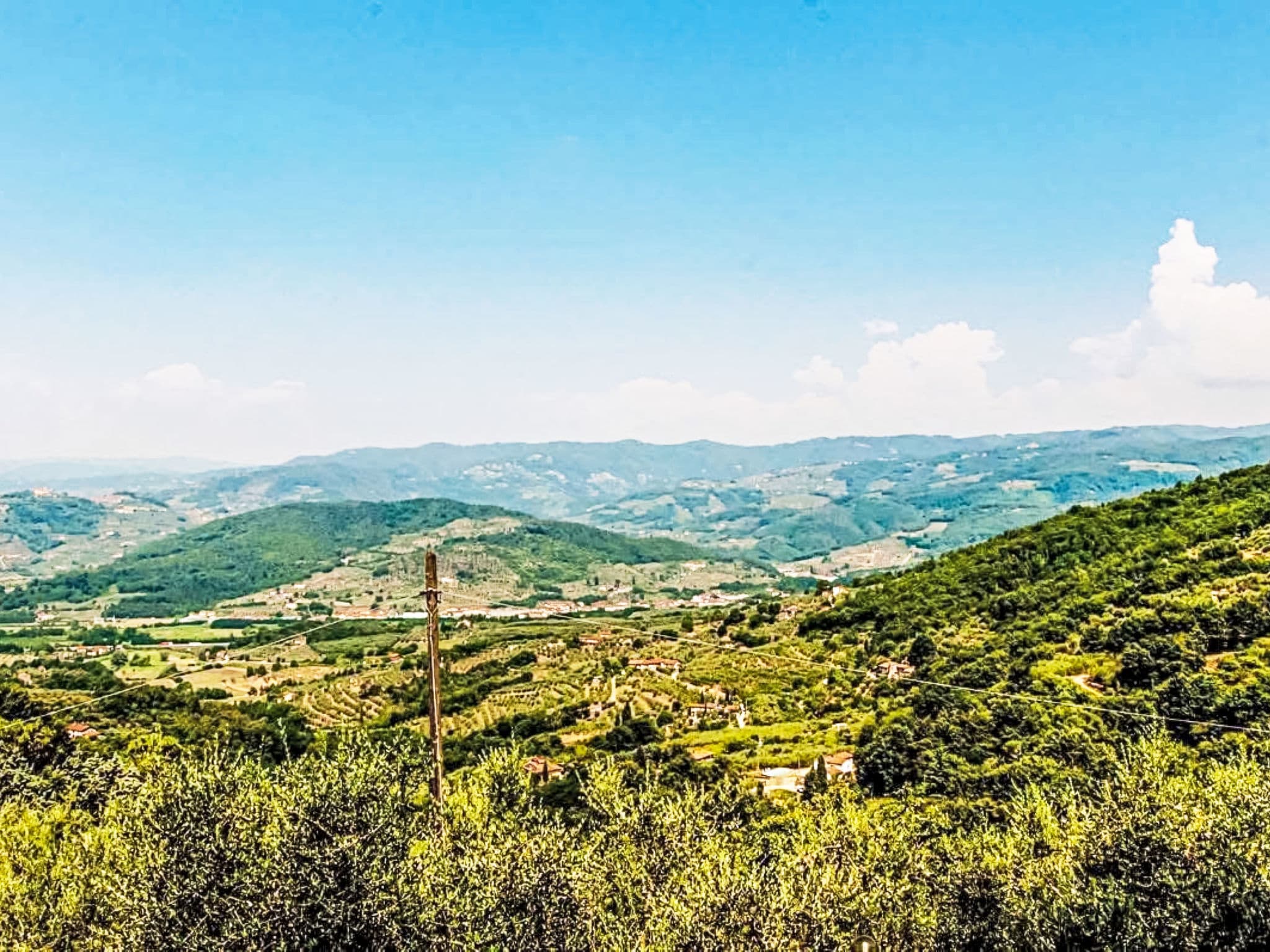 View