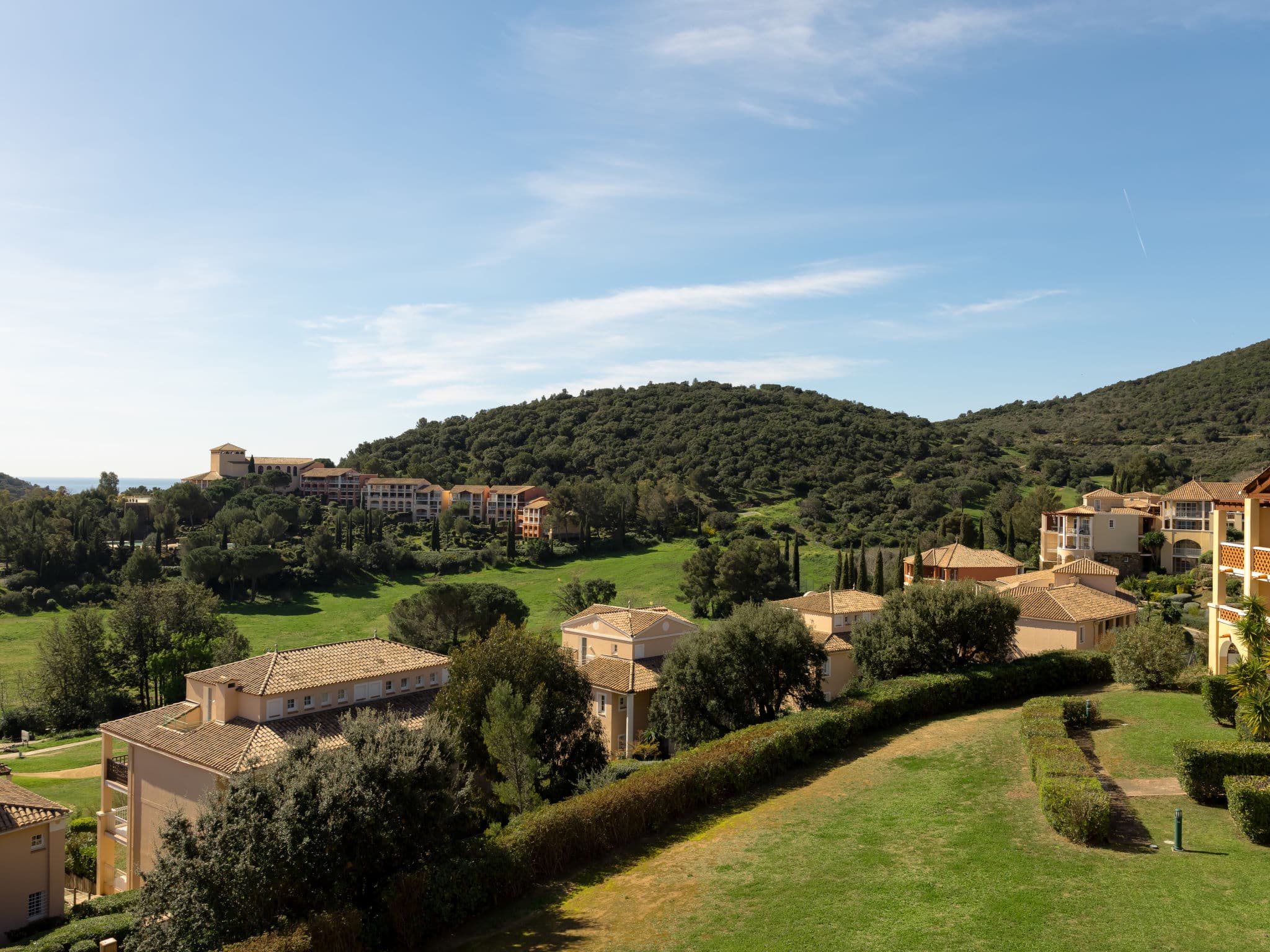 View