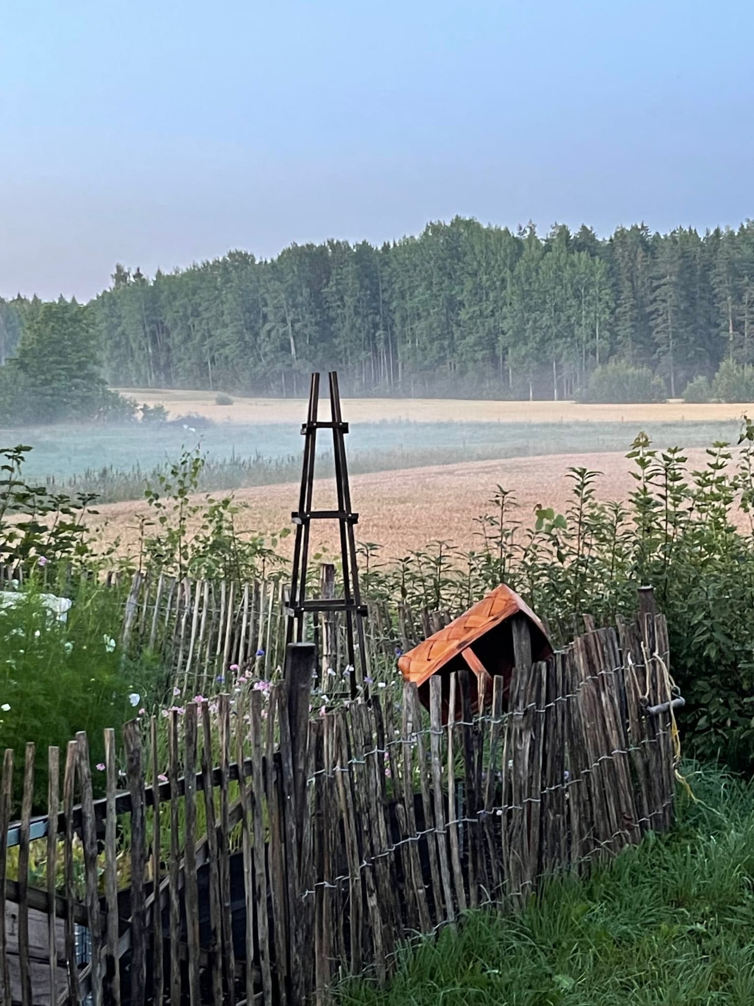 View