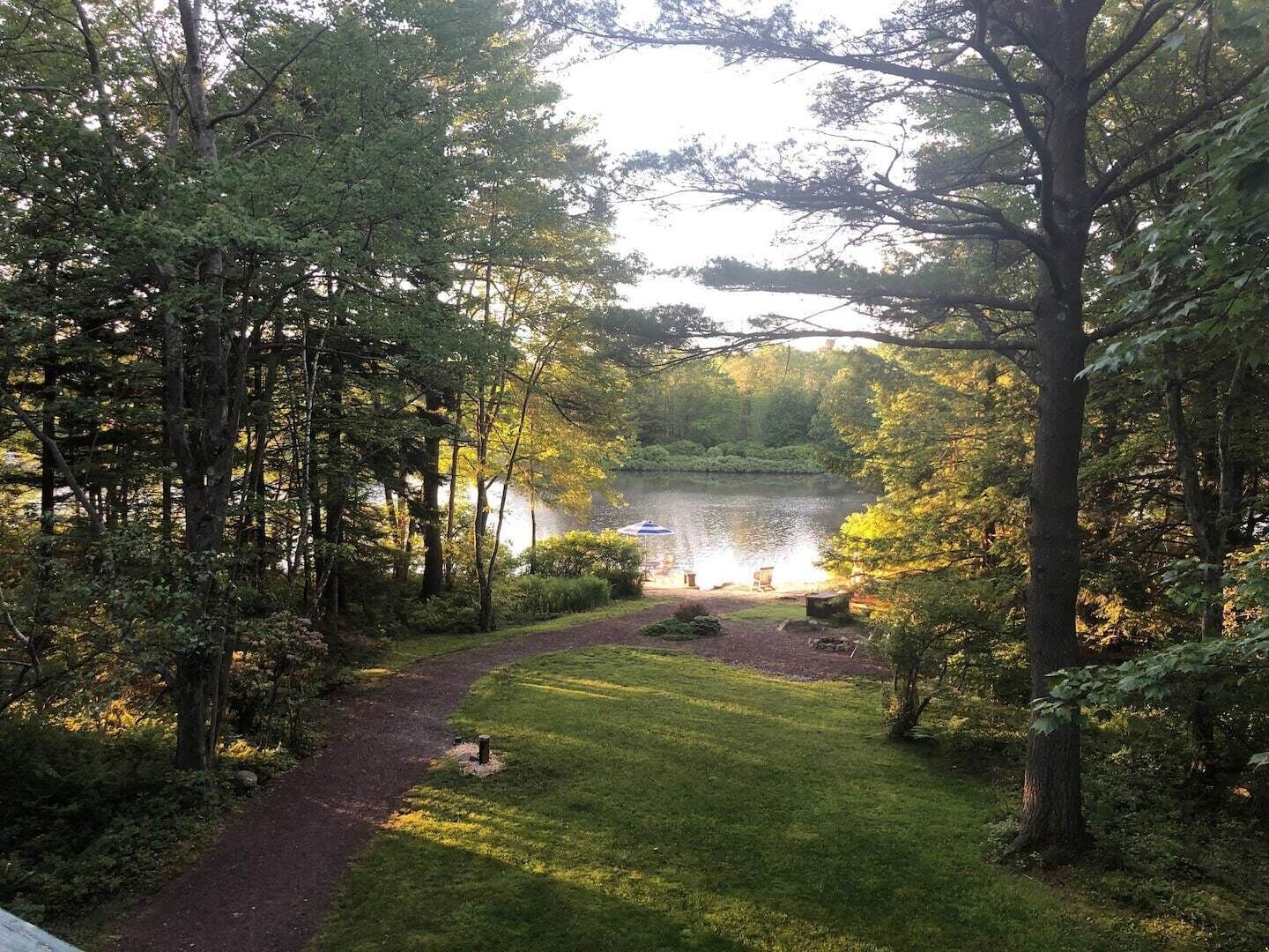 The view from the patio