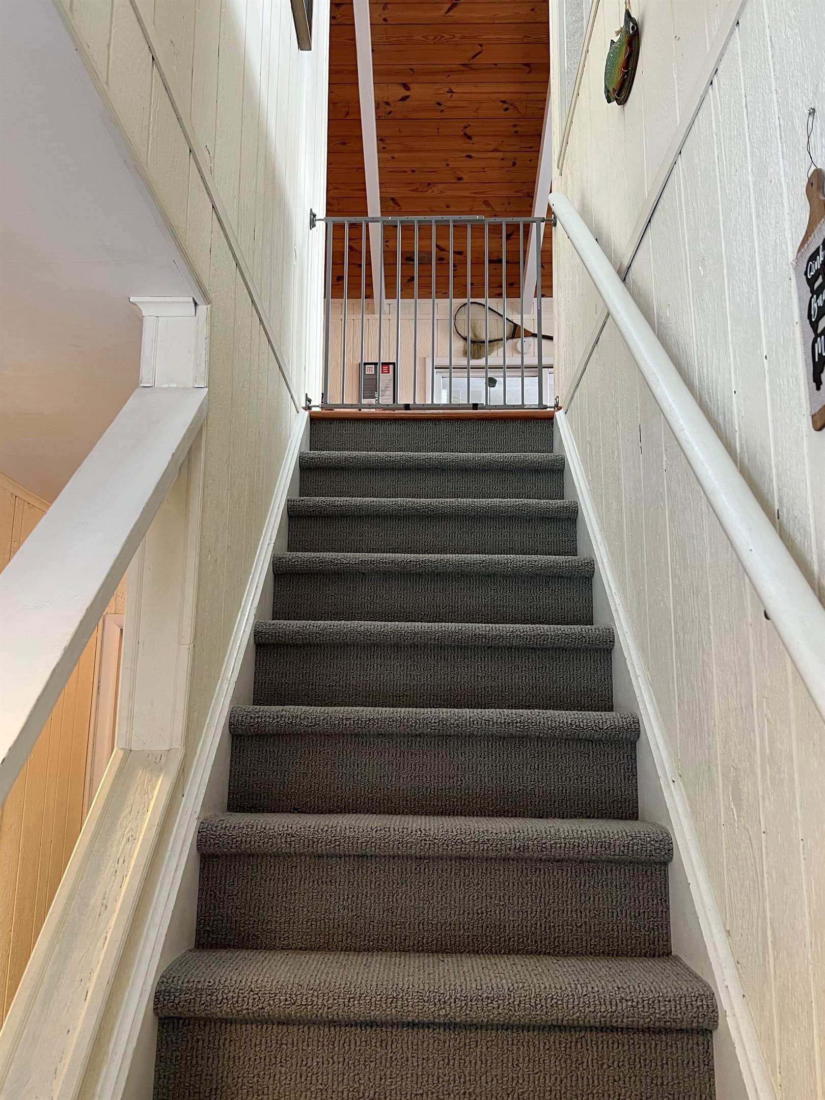 baby gates on all staircases