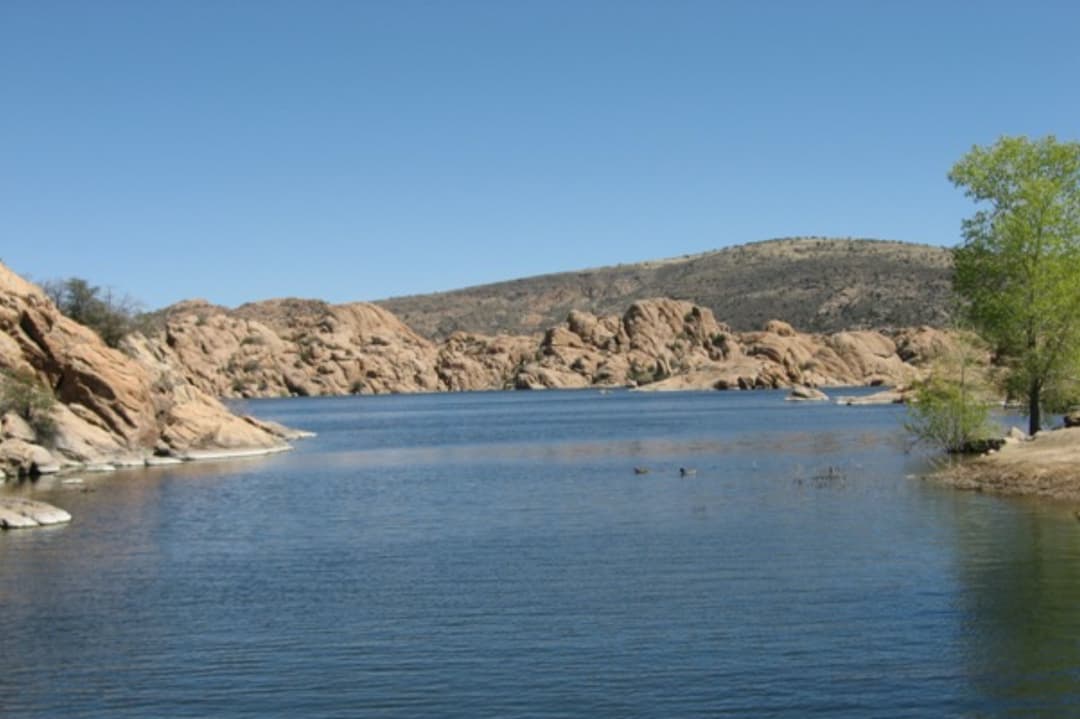 Large Image
