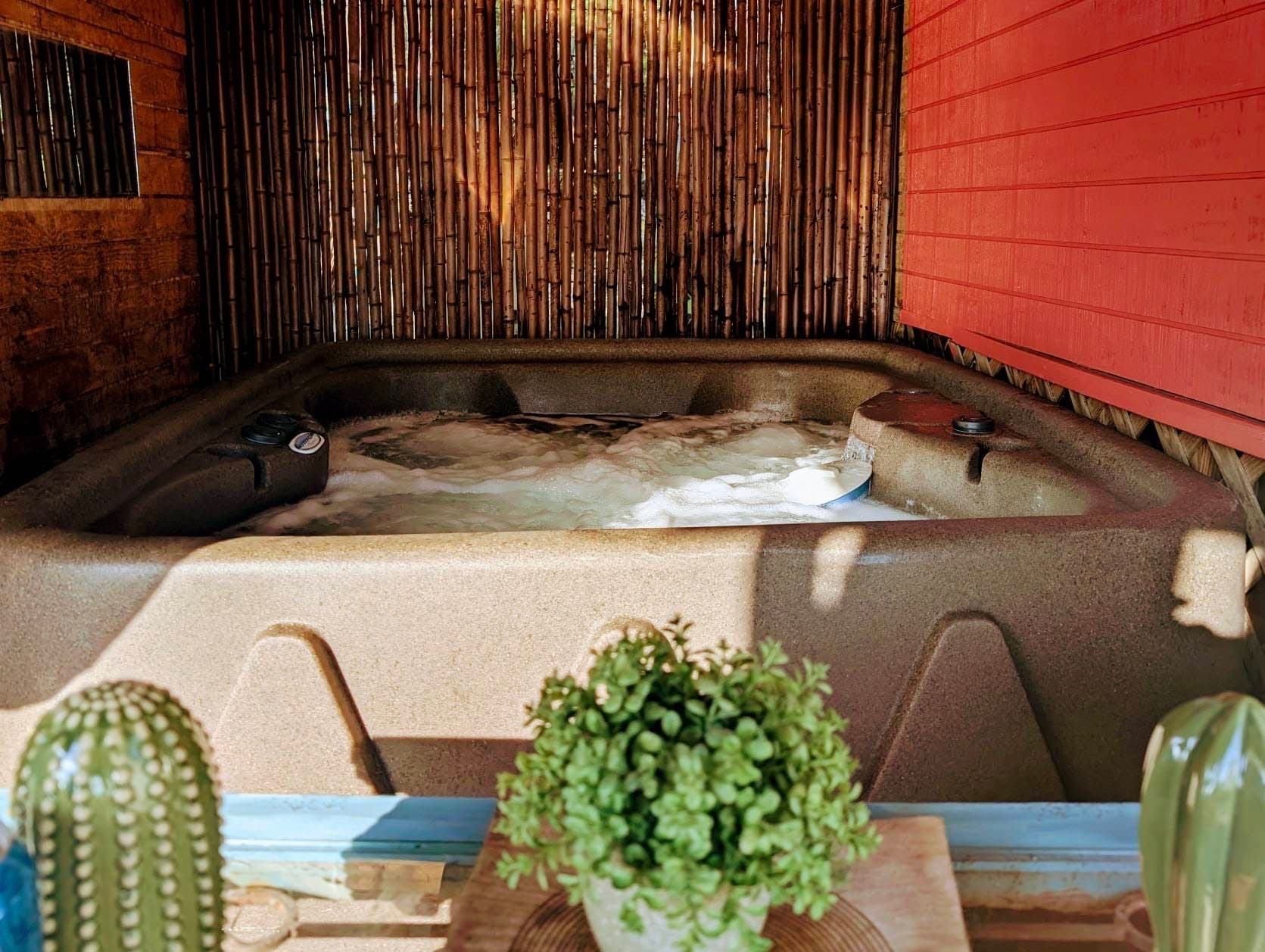 Clothing optional waterfront hot tub