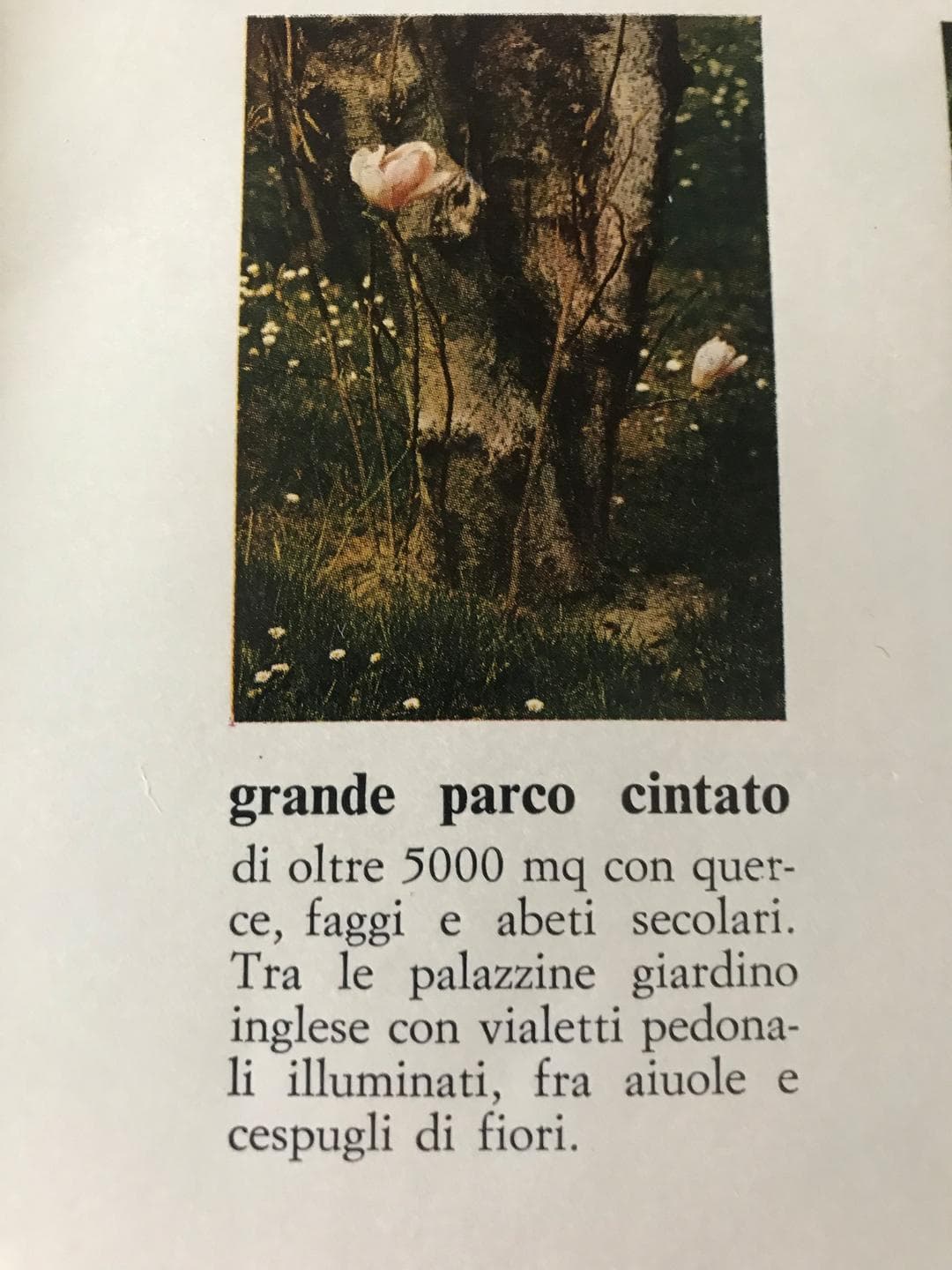 Gallery Image 18