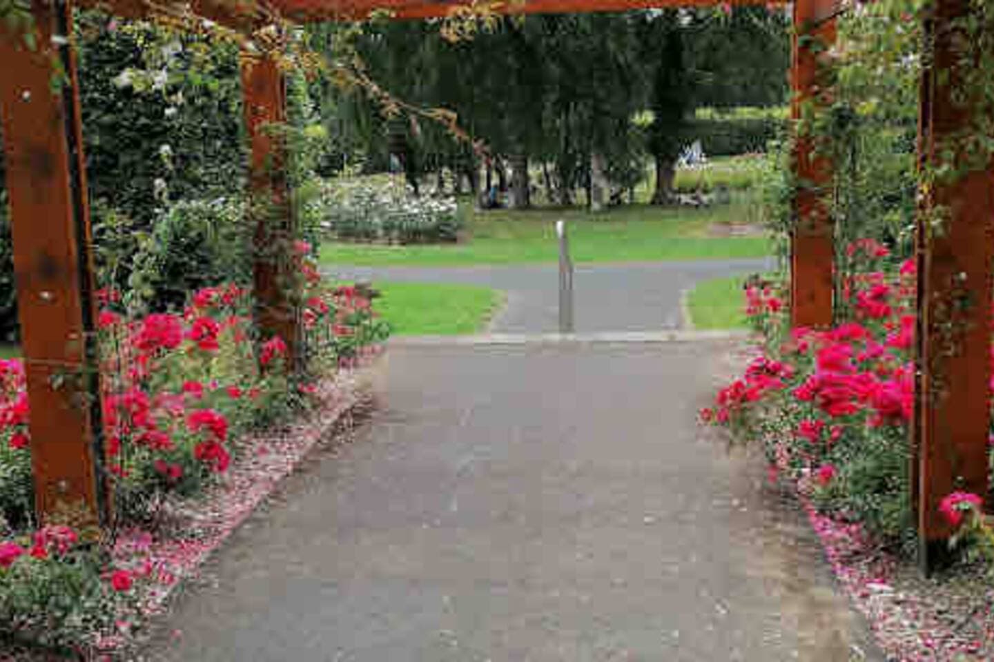 St Annes Rose Garden