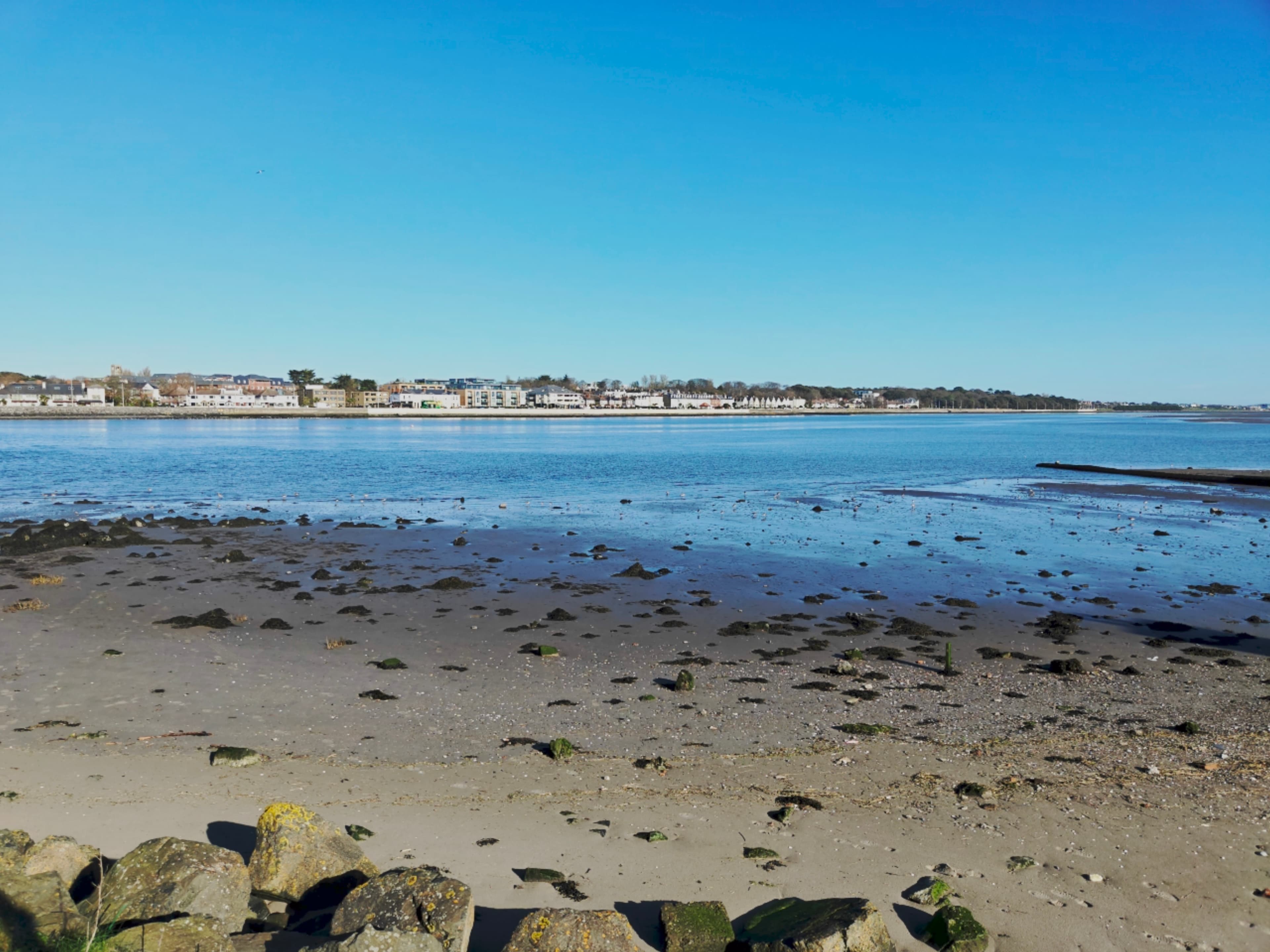 Property from Bull Island 1