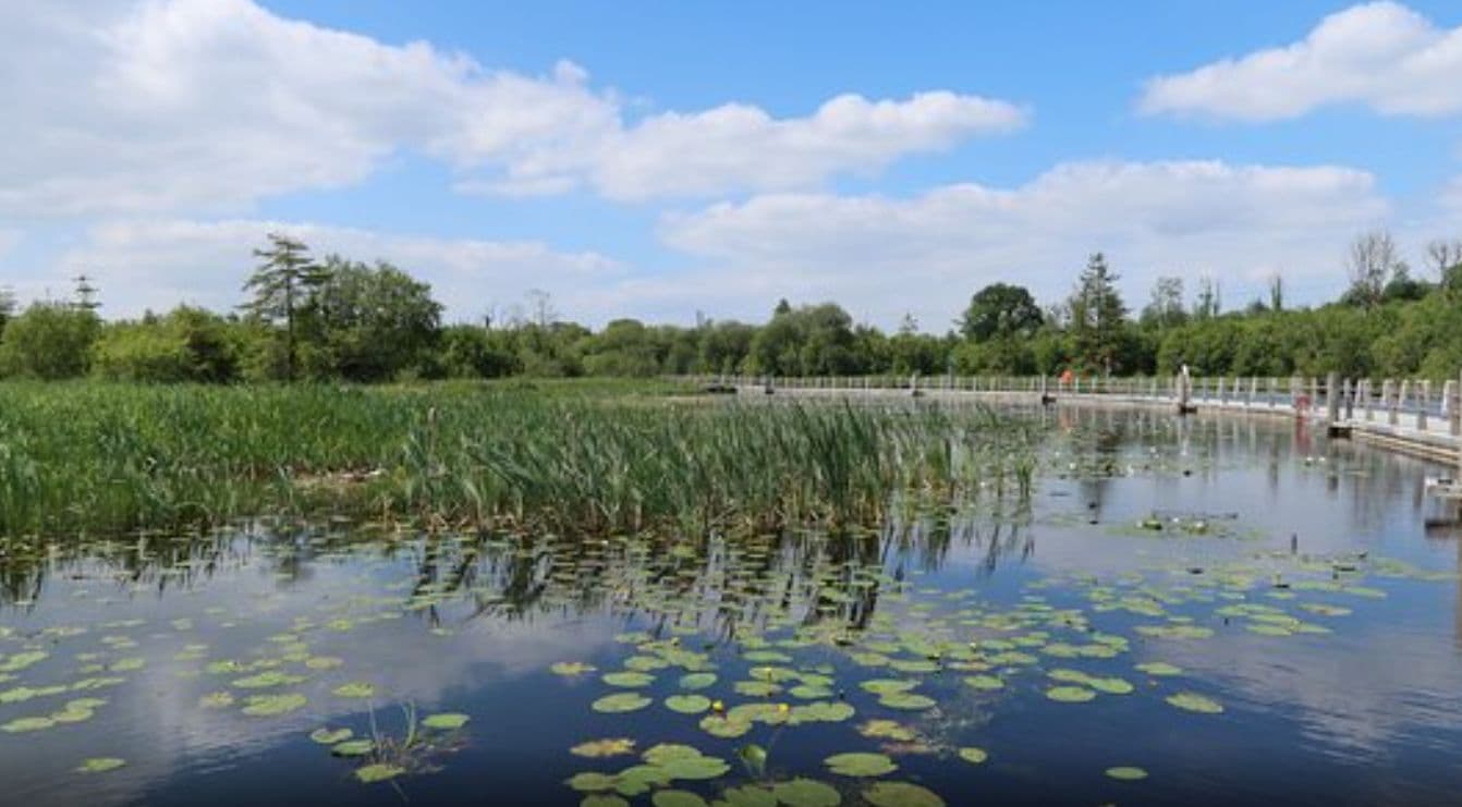 85 Acres Lake