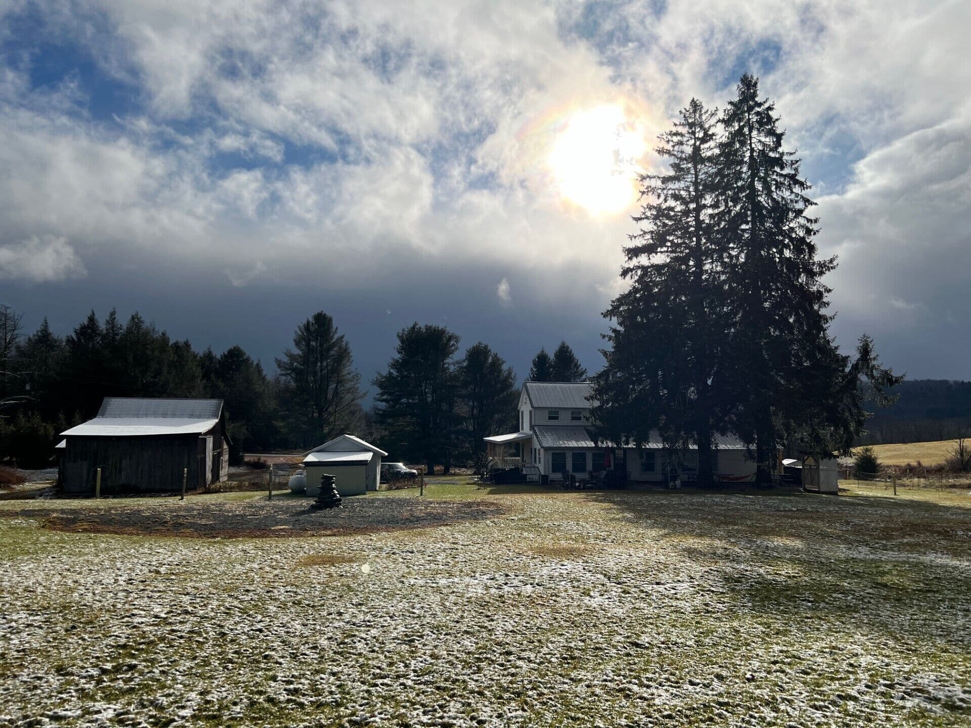 the back yard