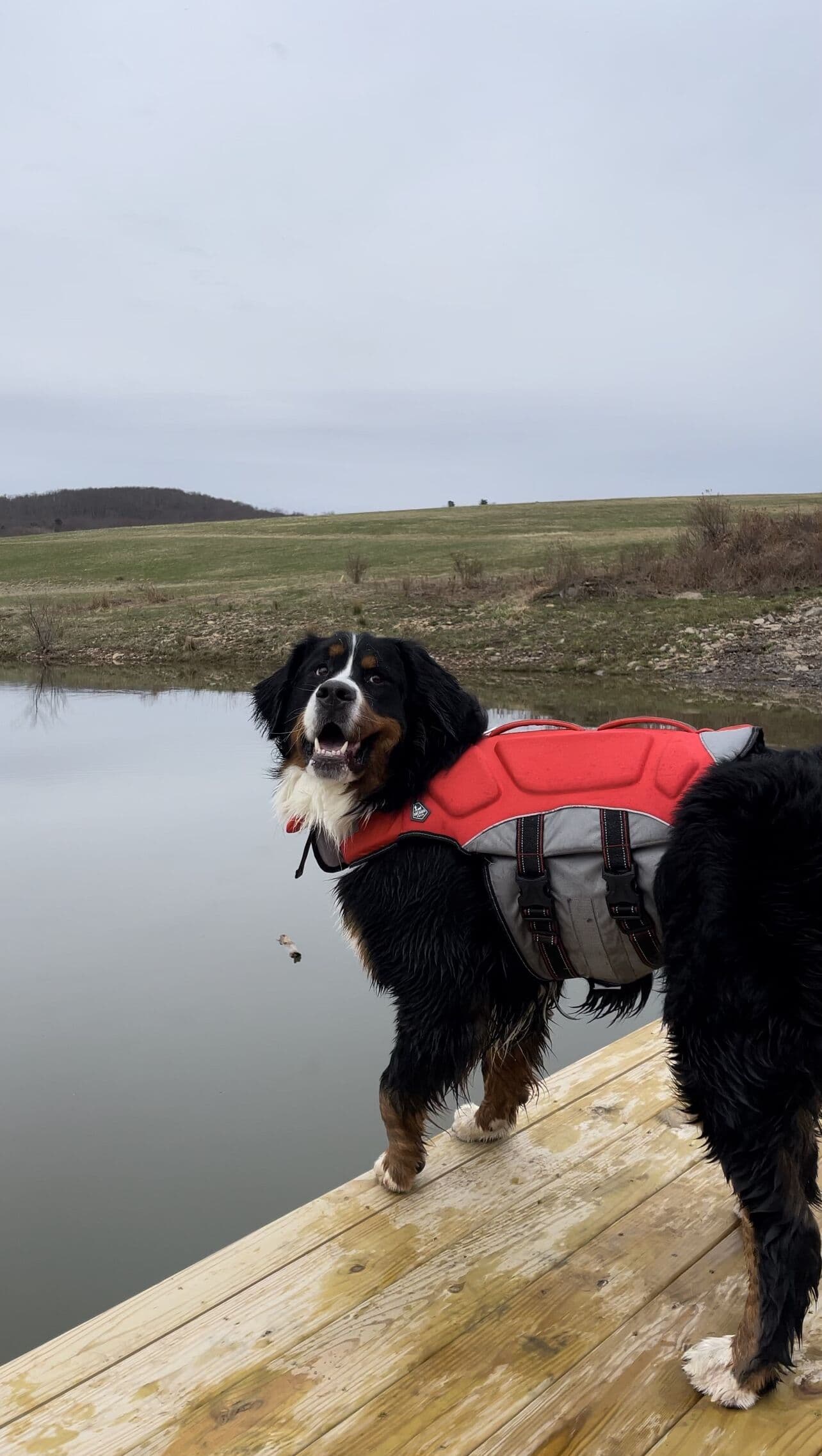 Well-behaved dogs are welcome!