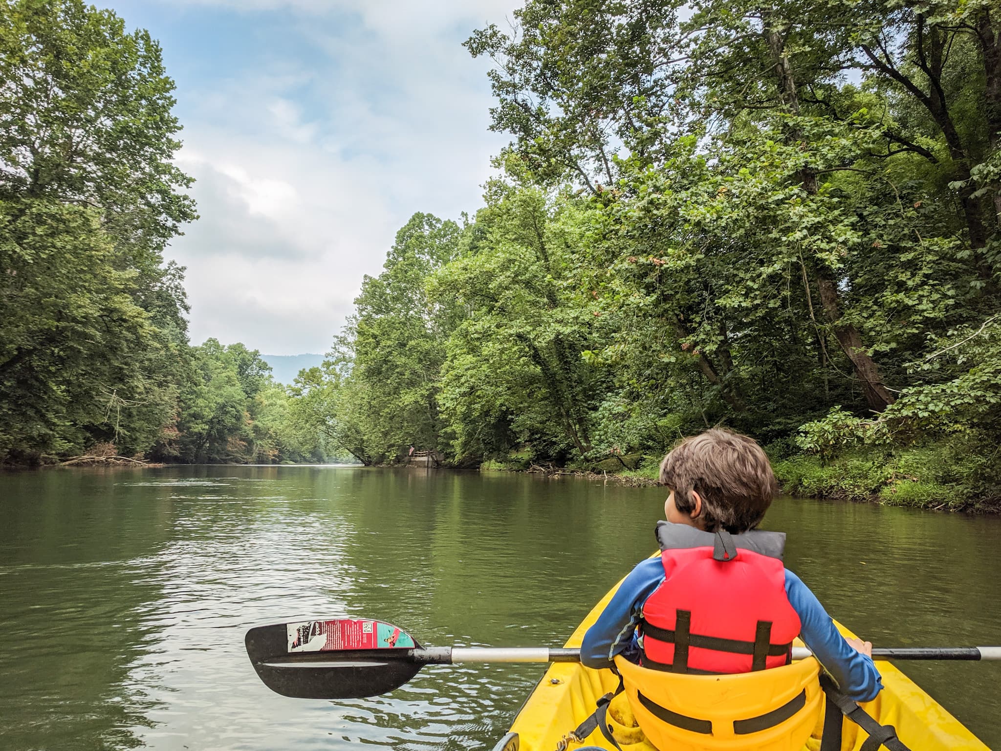 Kayaking jackson river virginia with kids