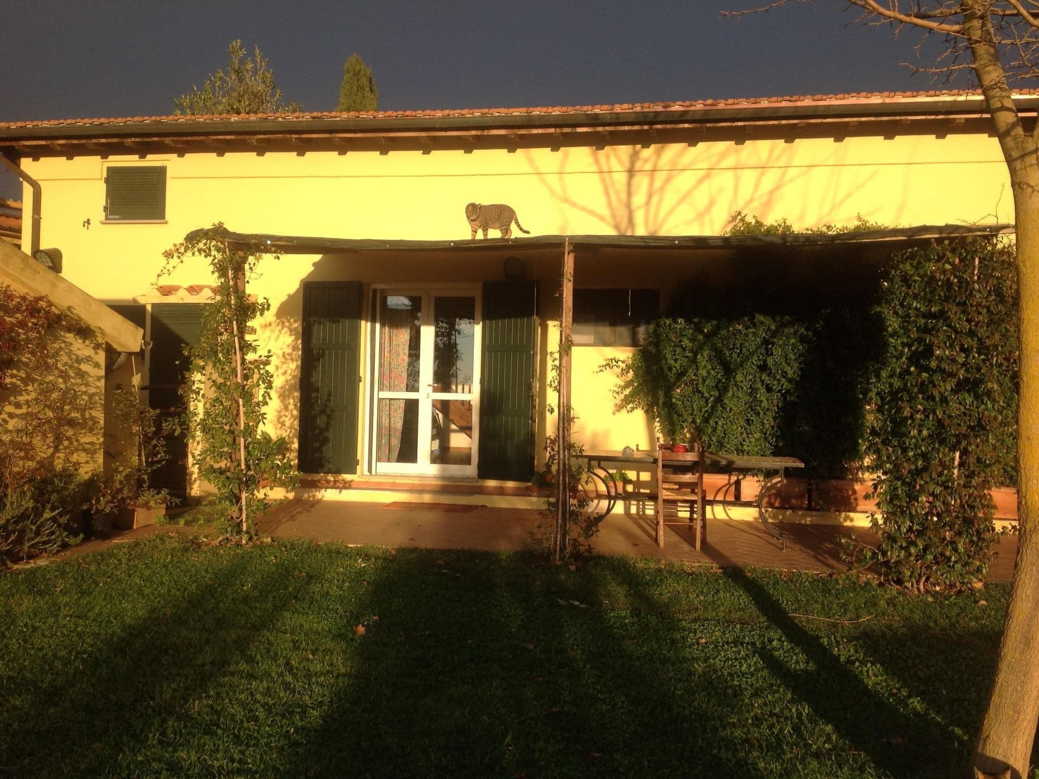 Gallery Image 14