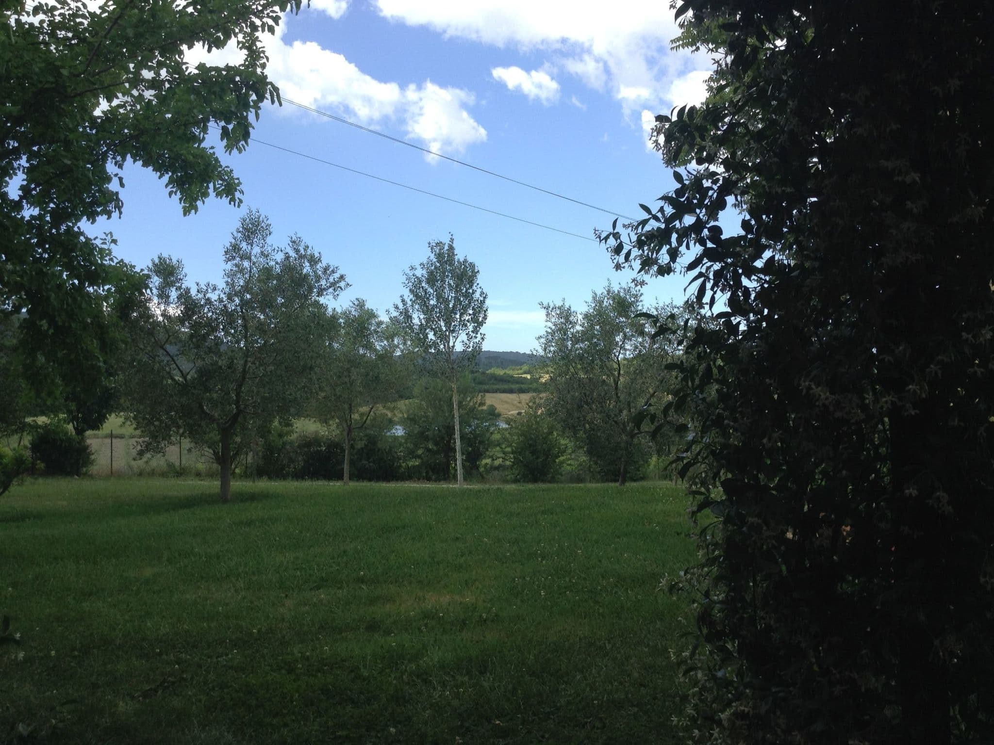 Gallery Image 18