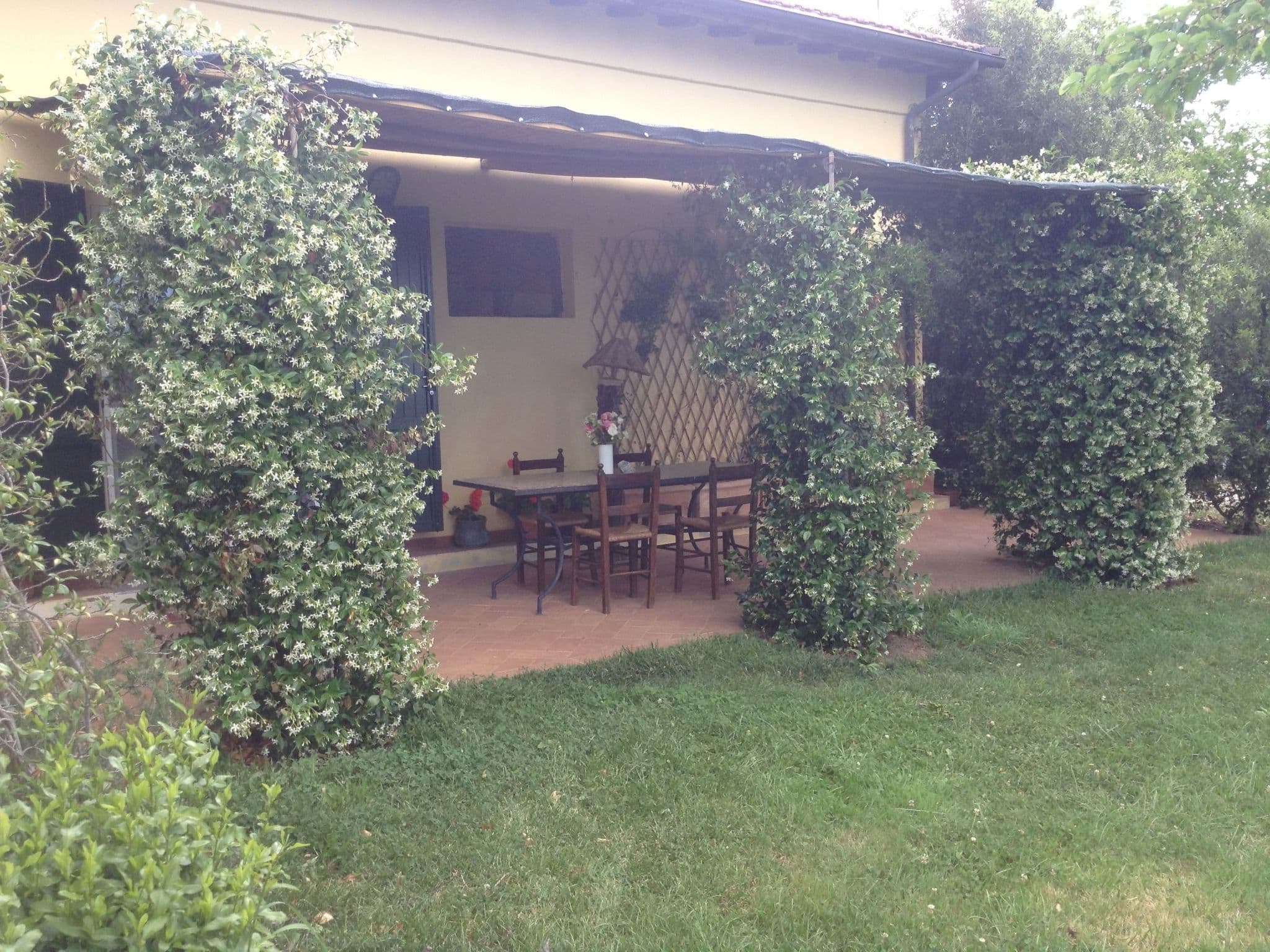 Gallery Image 19