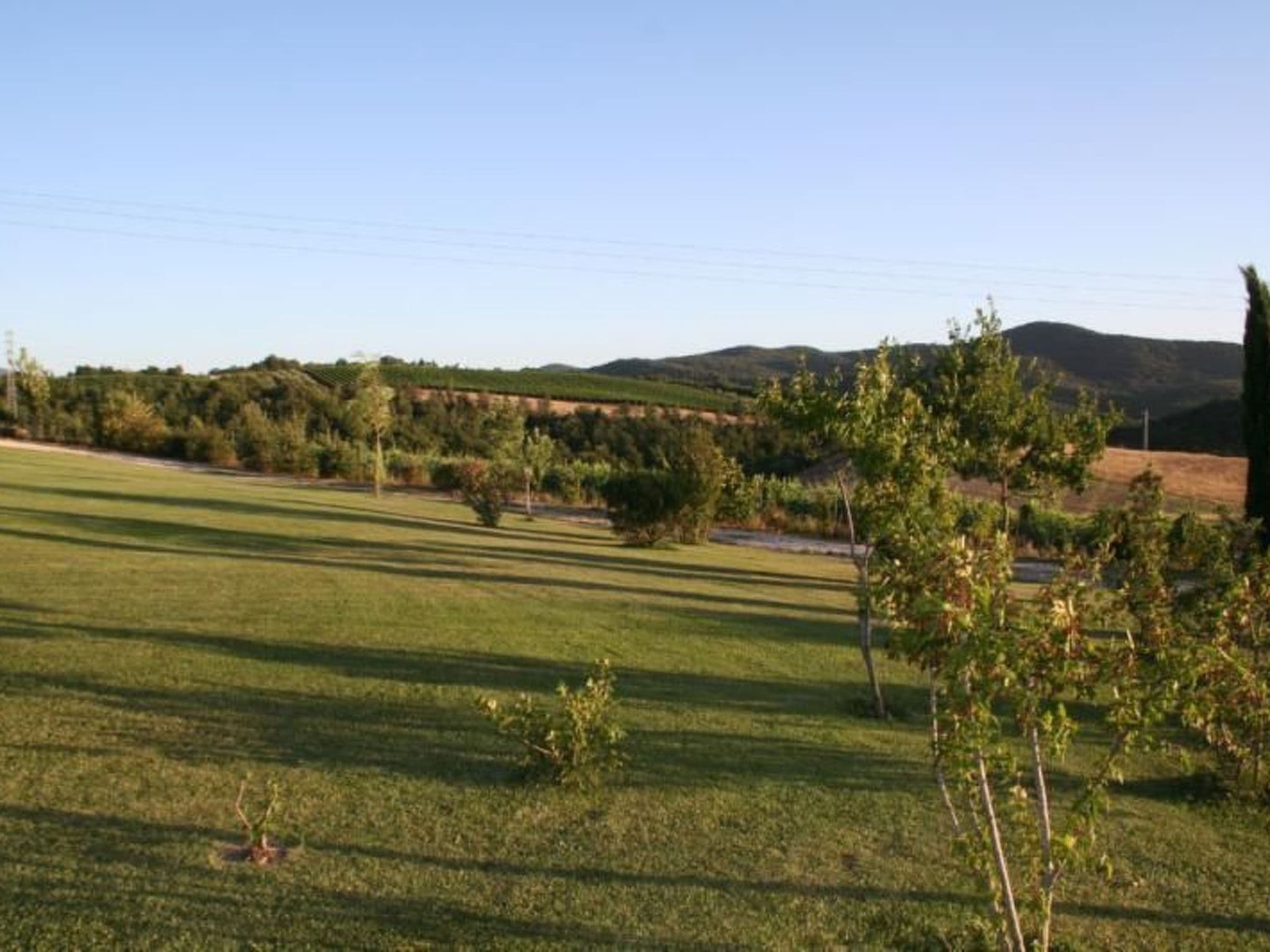 Gallery Image 39