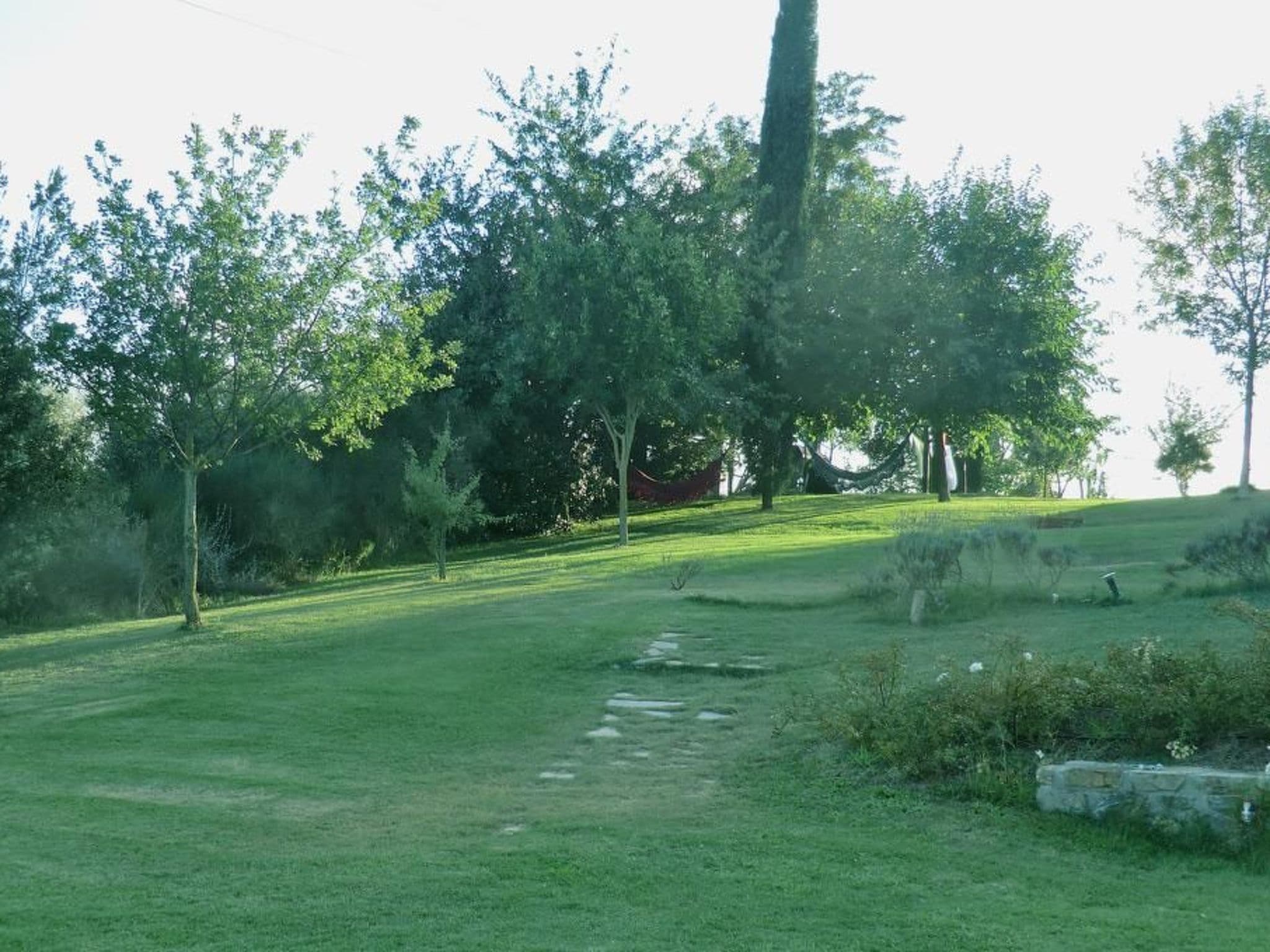 Gallery Image 23