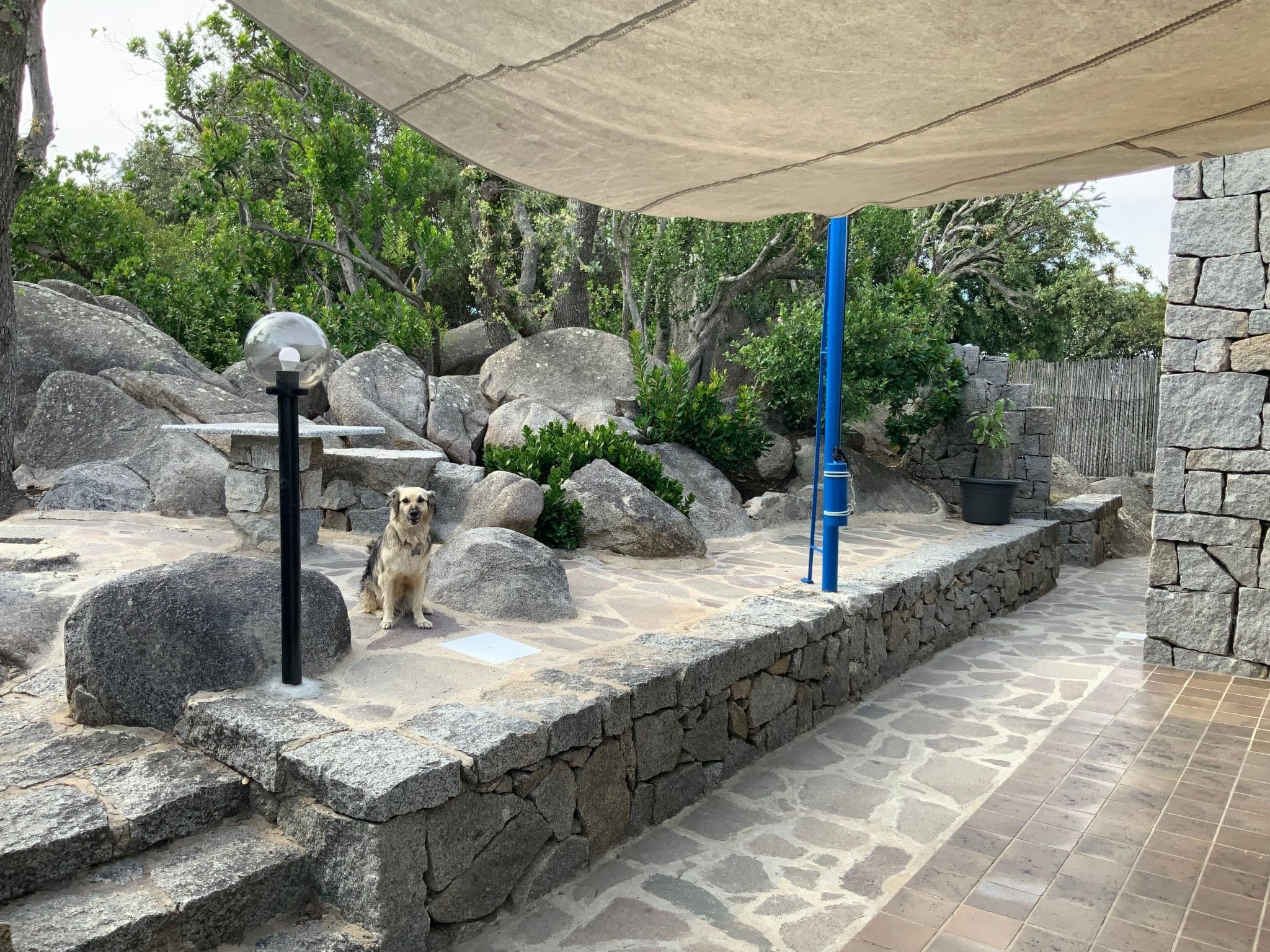 Gallery Image 43