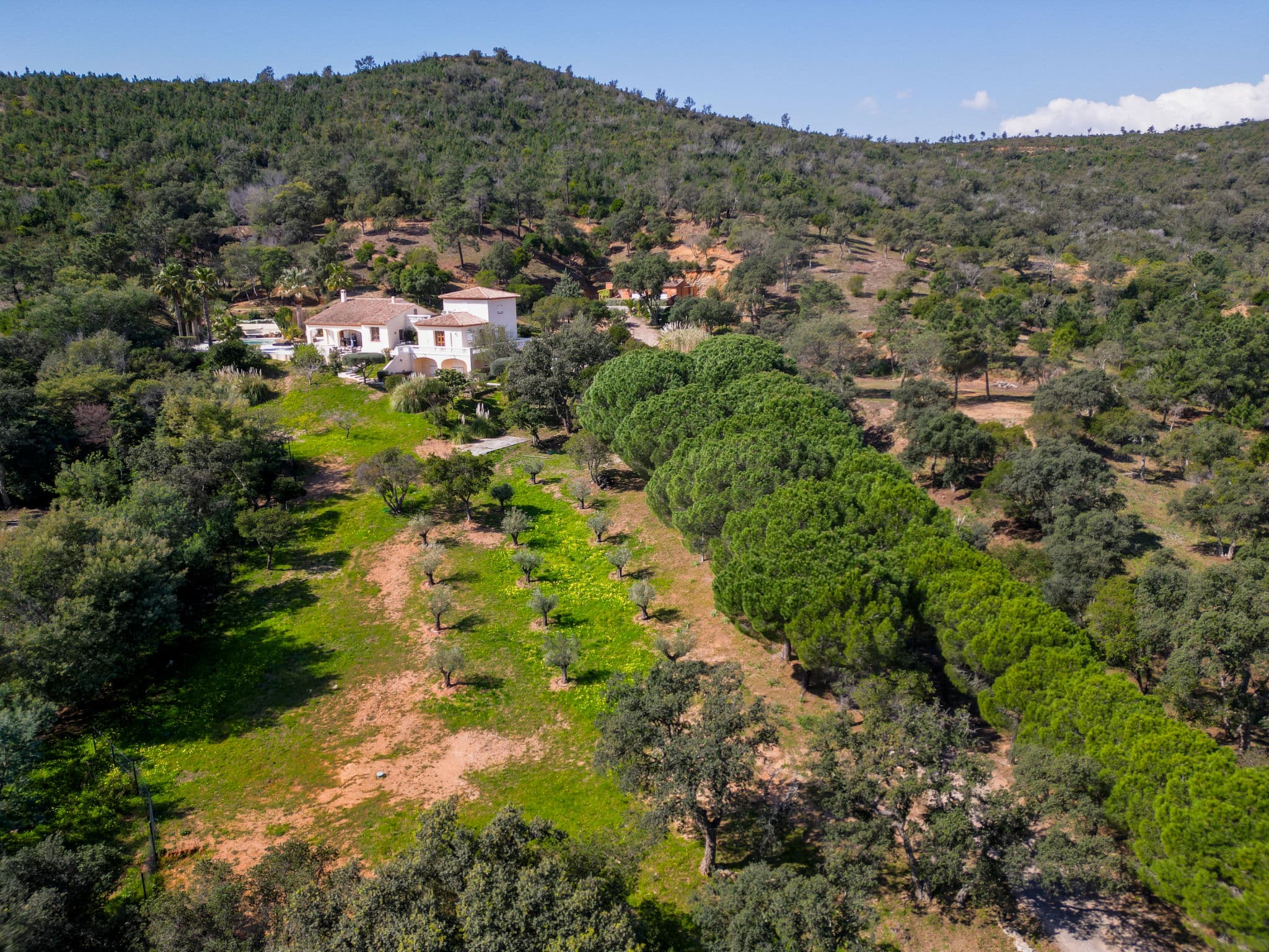 Aerial photography
