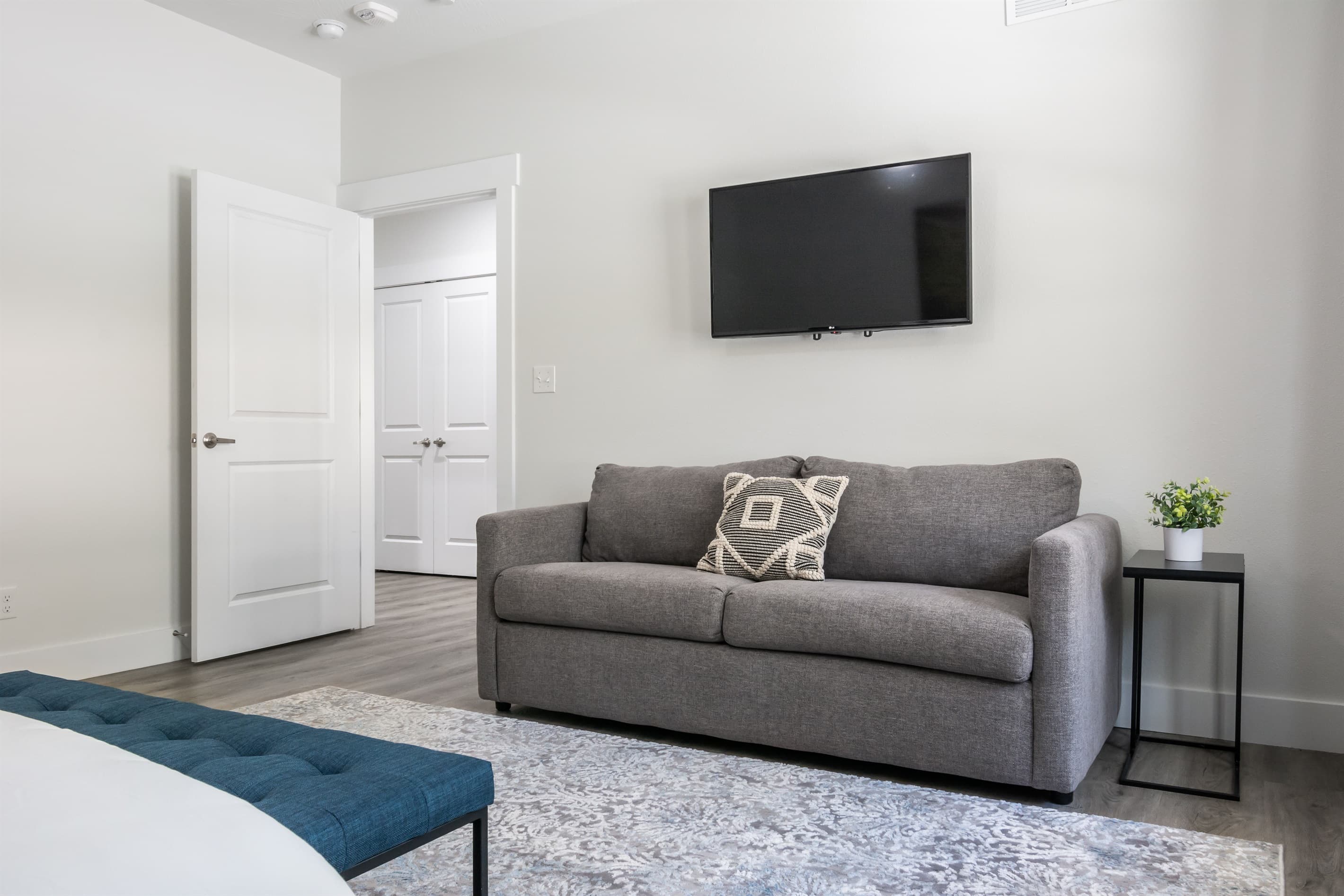 Bedroom 1 (main level, accessible): Queen sleeper couch with Tv above