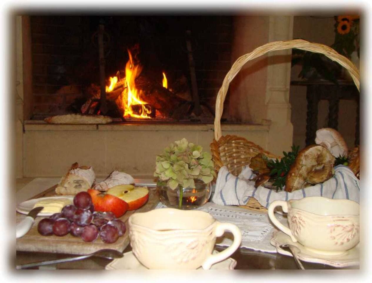 Cheminée au feu de bois pour vos soirées conviviales