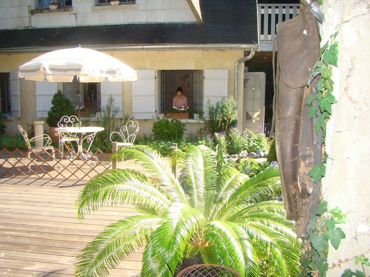 Grande terrasse et terrasses privées pour chaque chambre au cœur de la forêt.