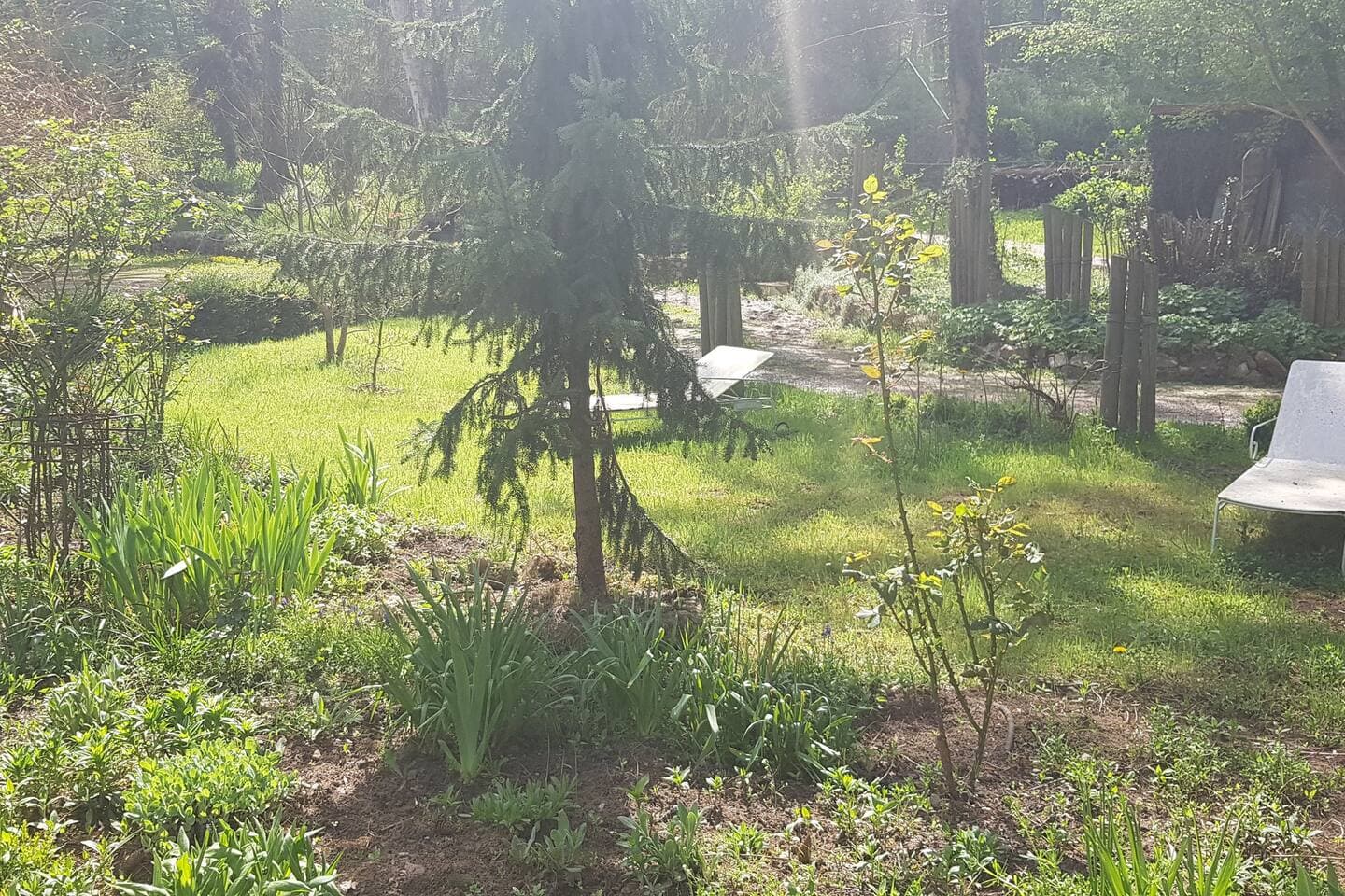 Gallery Image 21