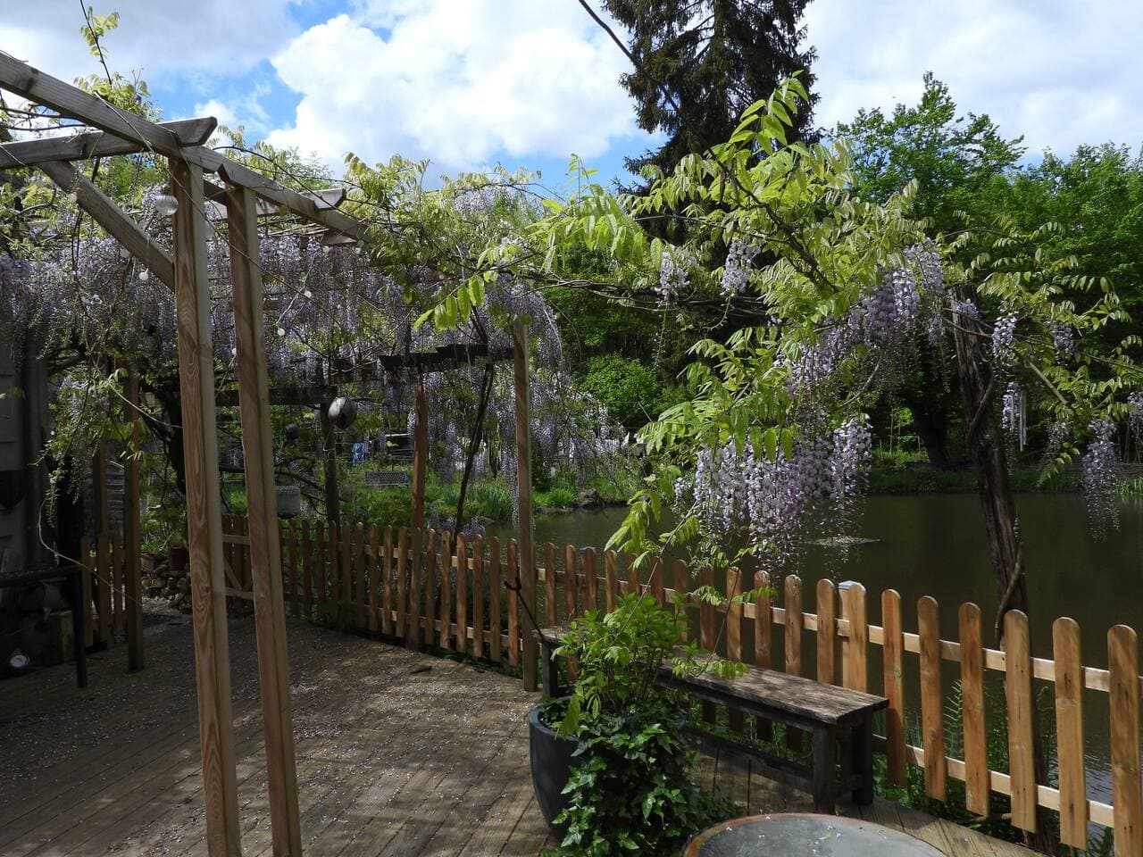 Gallery Image 36