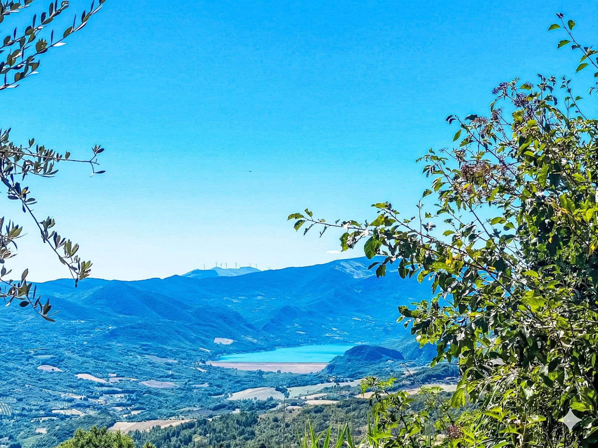 View