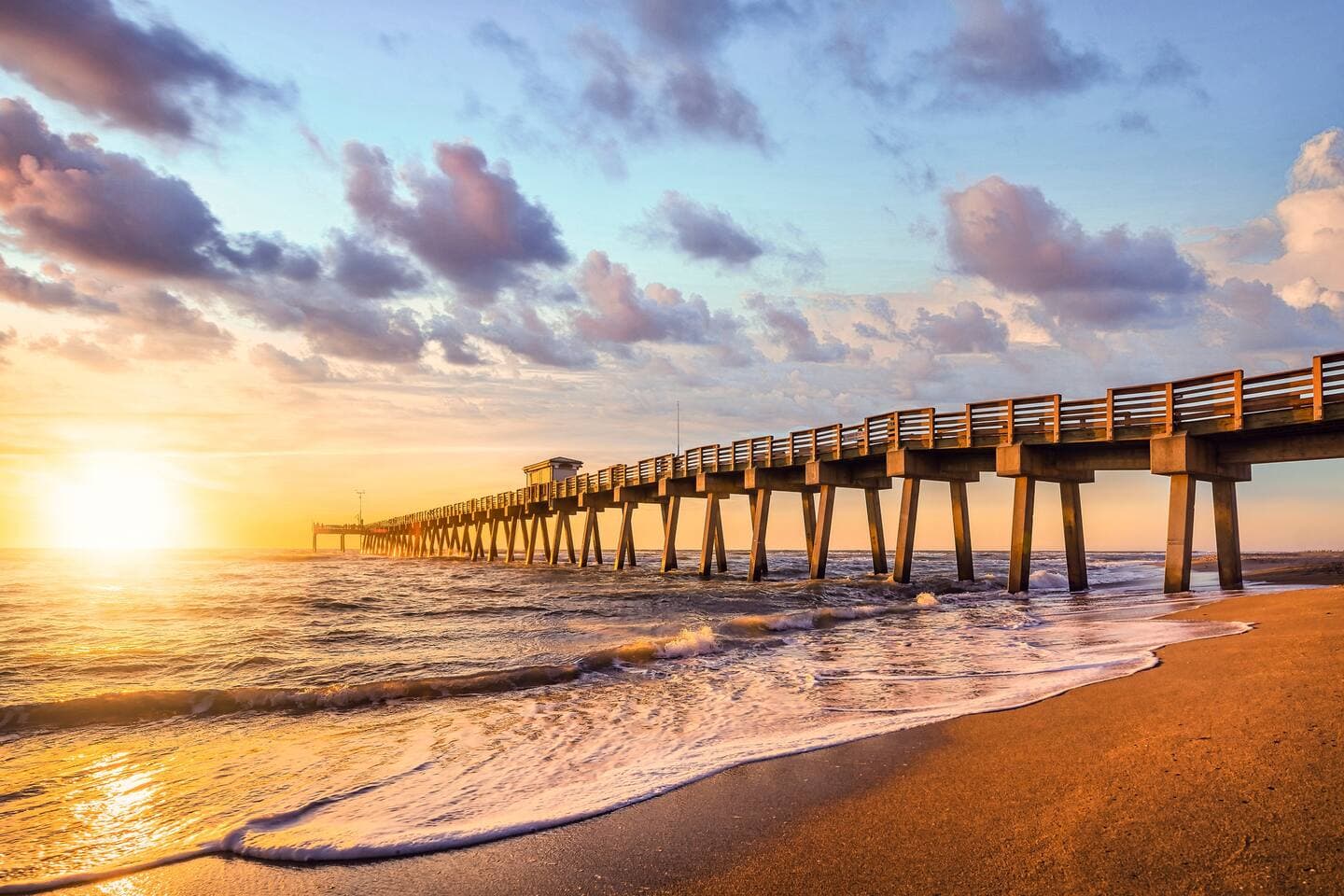 15 min drive - Venice pier. 