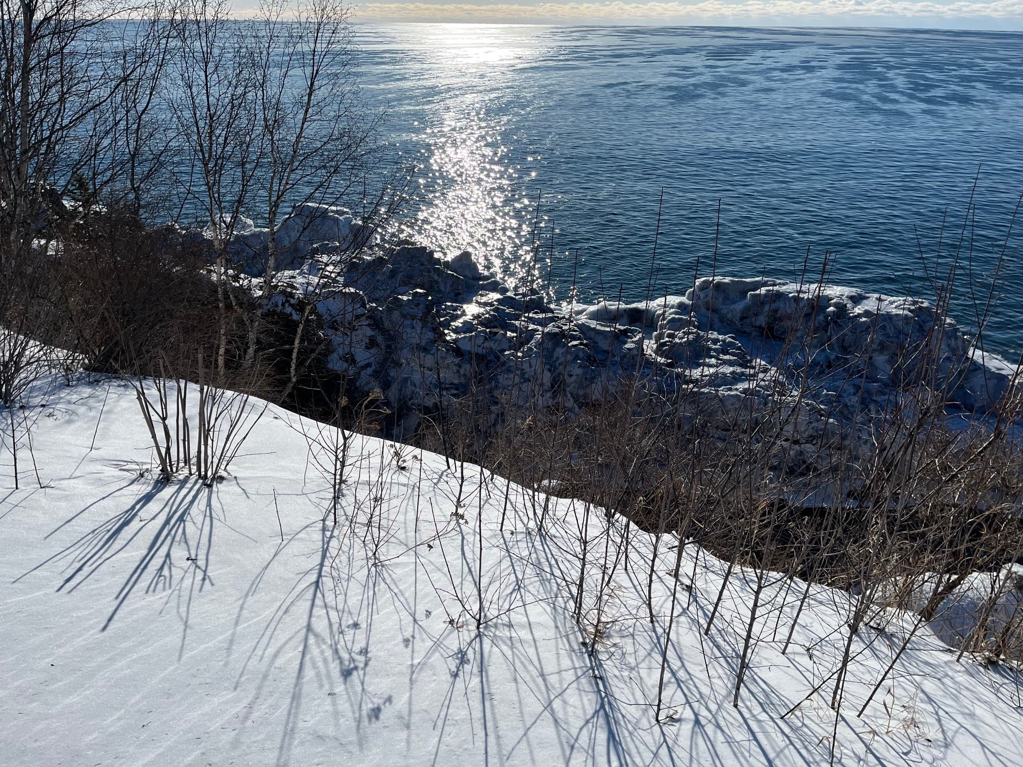 Shoreline view