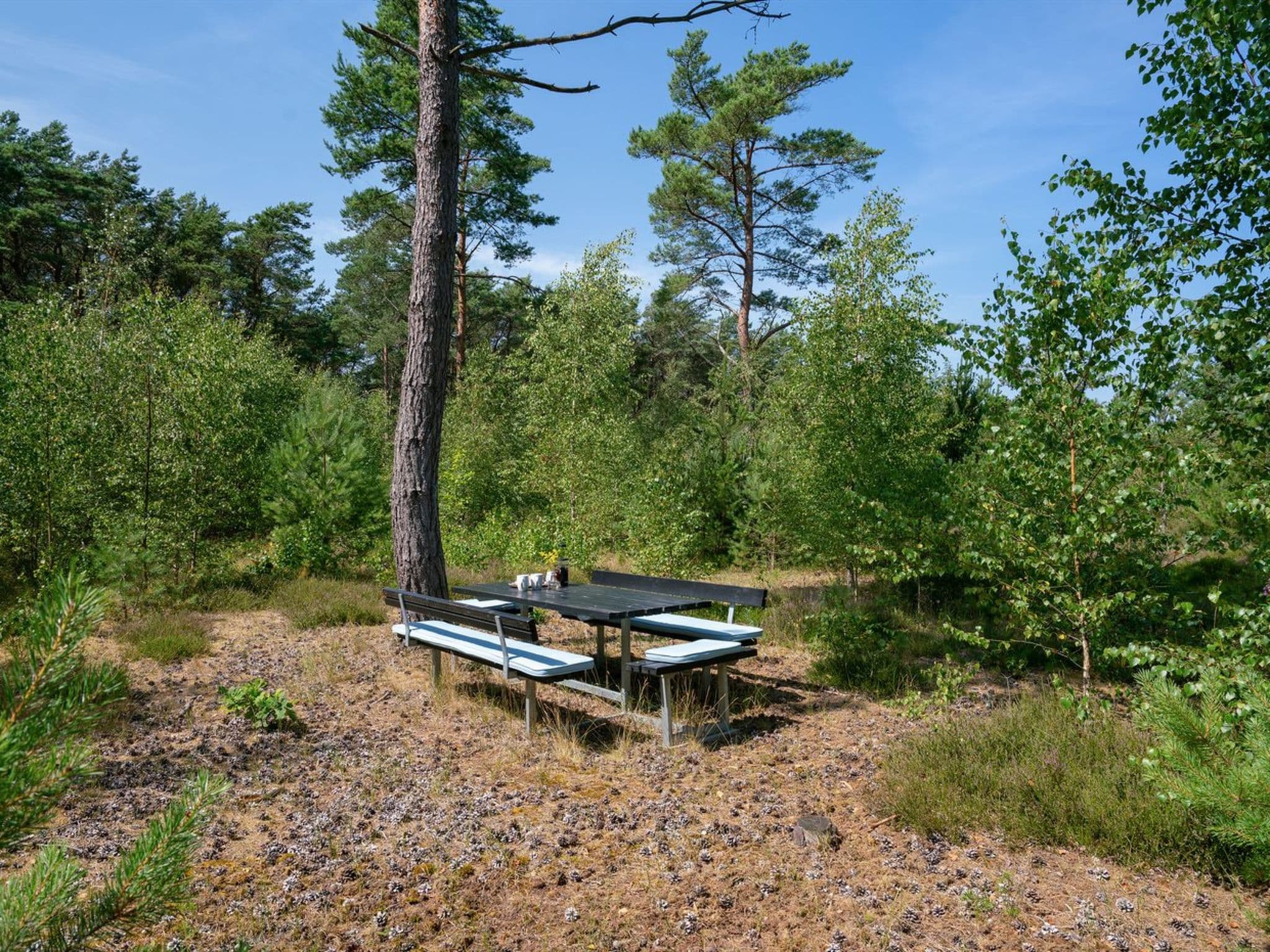 Place