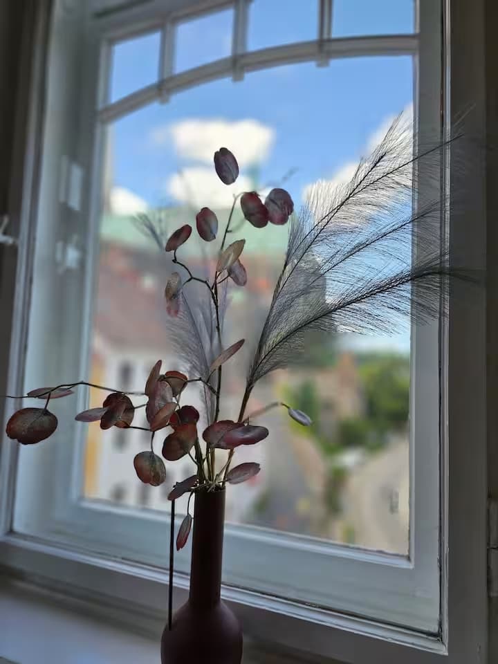 Aussicht auf Peterskirche