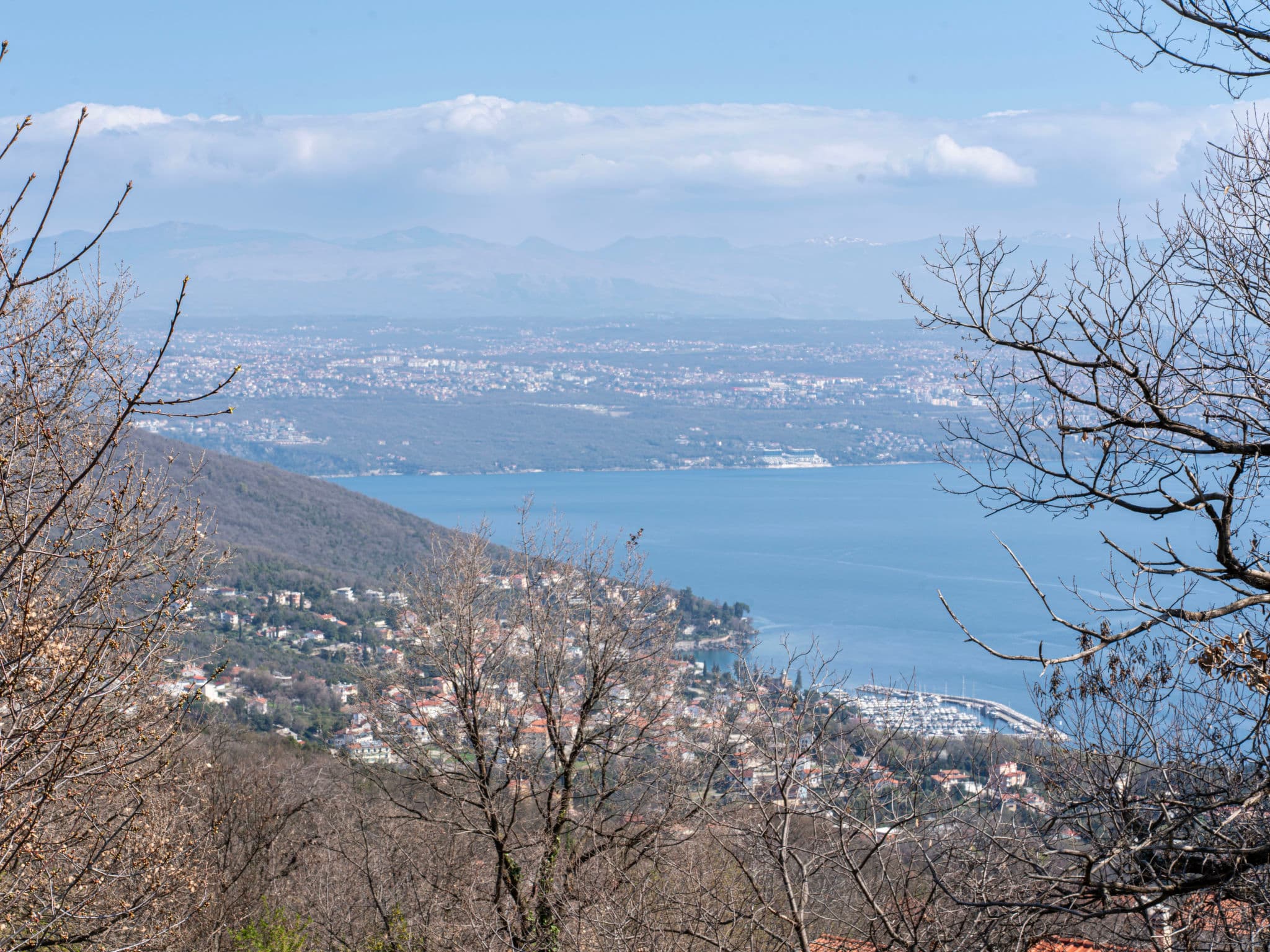 View