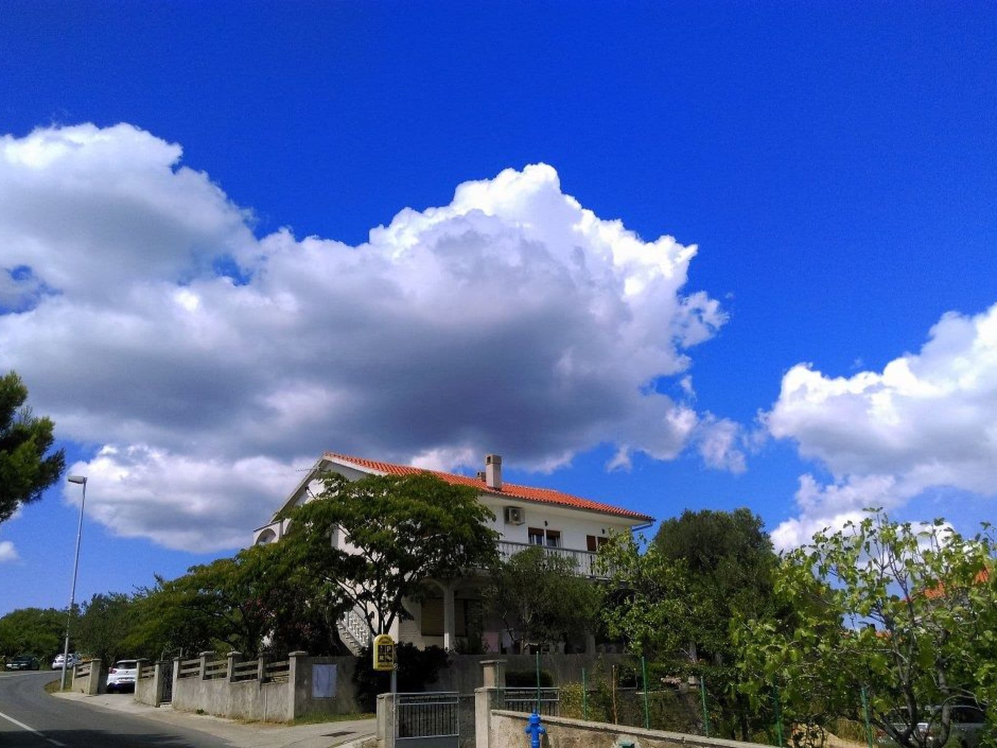 Gallery Image 6