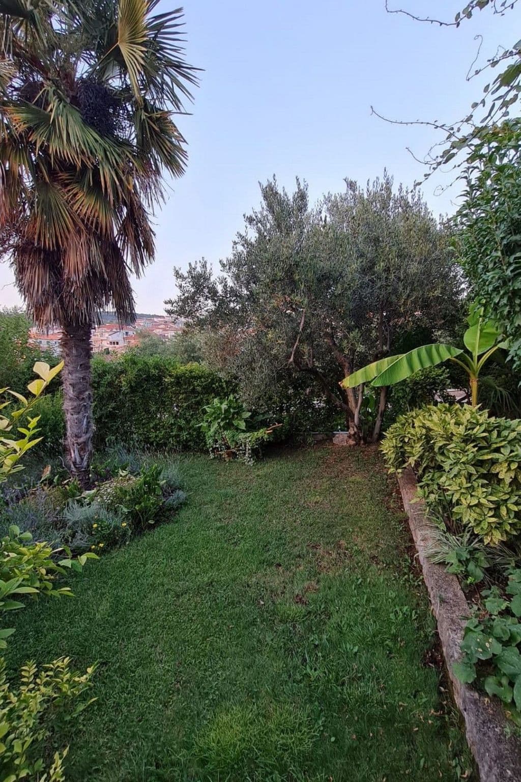 Gallery Image 16